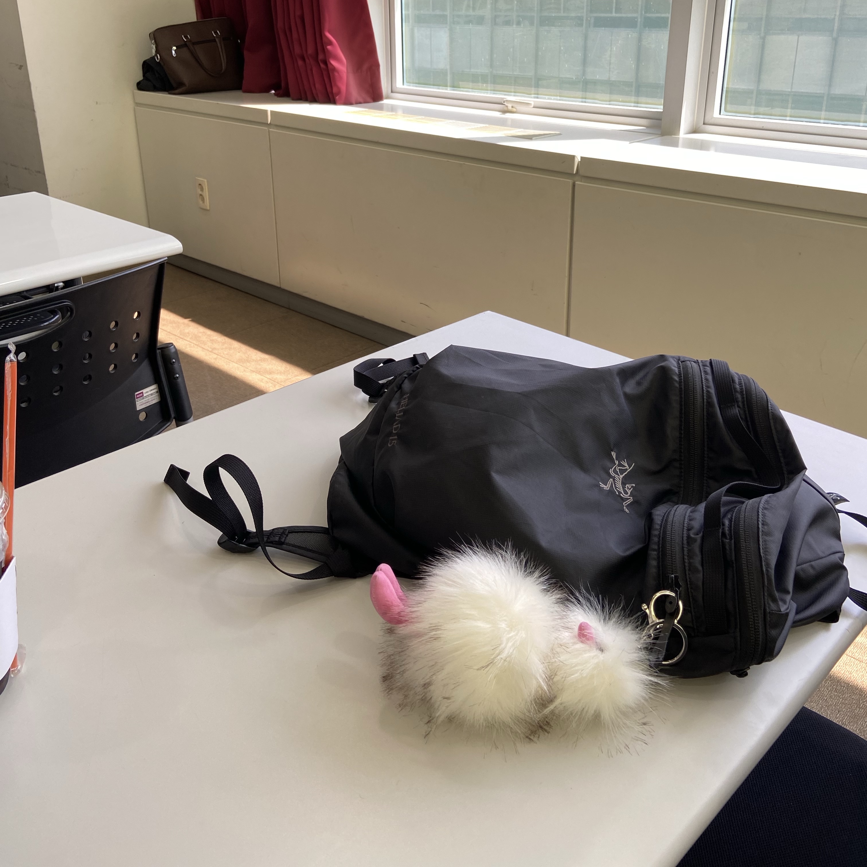 Arc'teryx Heliad 15 Backpack Black, Cosymosy Ugly Bird Keyring White 착용 스타일 - 3