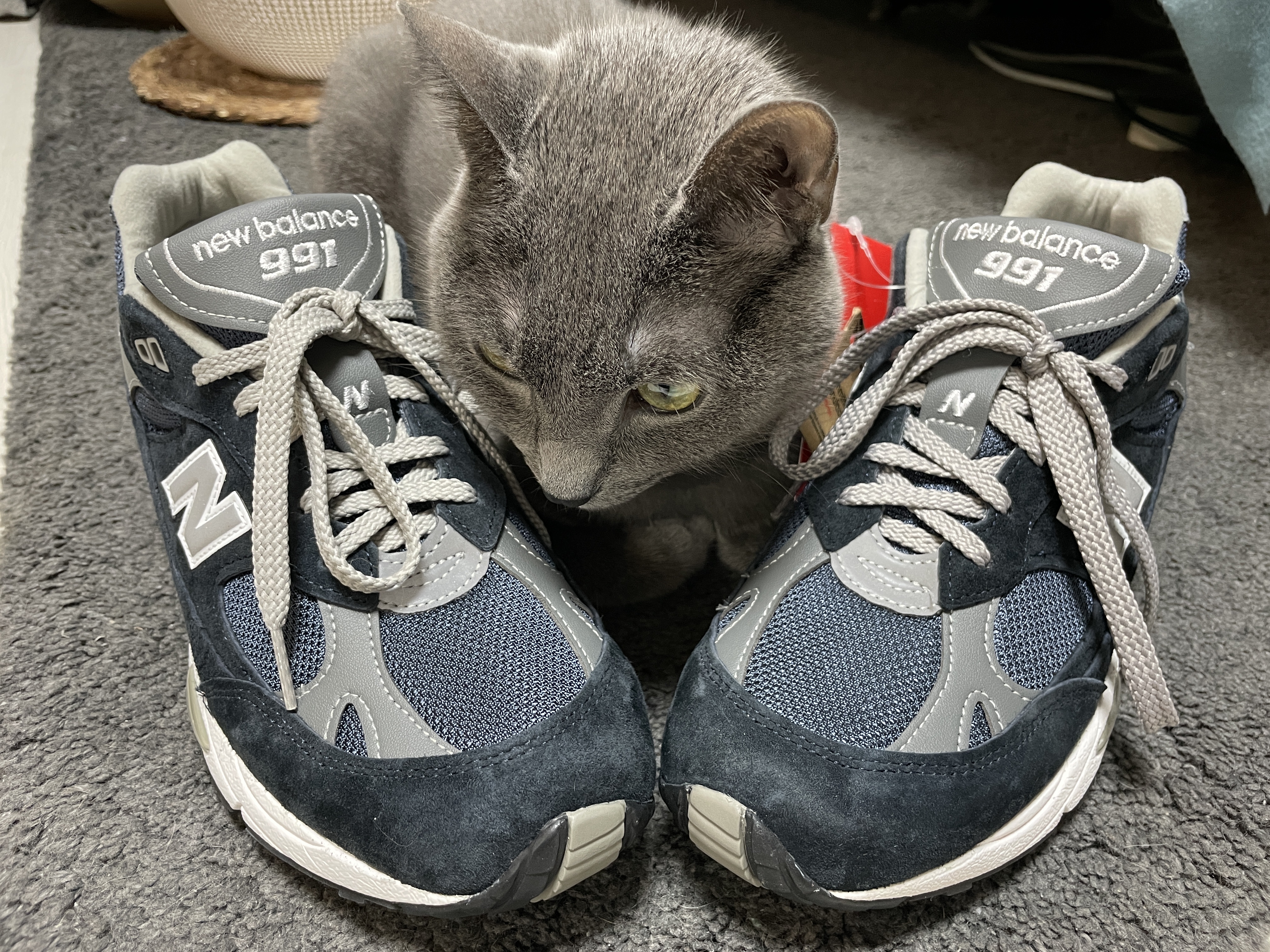 New Balance 991 Made in UK Navy 착용 스타일 - 2