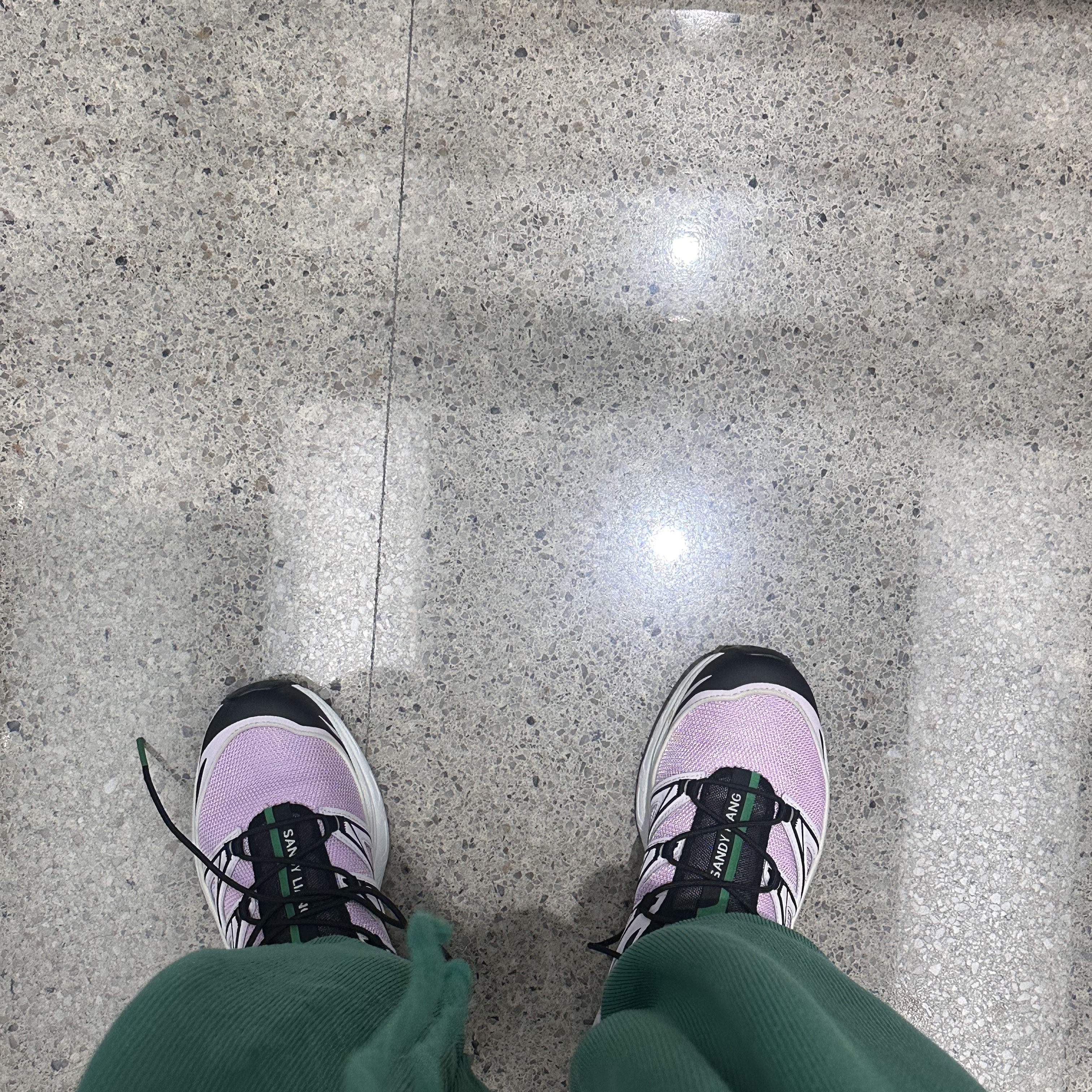 Salomon x Sandy Liang XT-6 Expanse Cradle Pink 착용 스타일