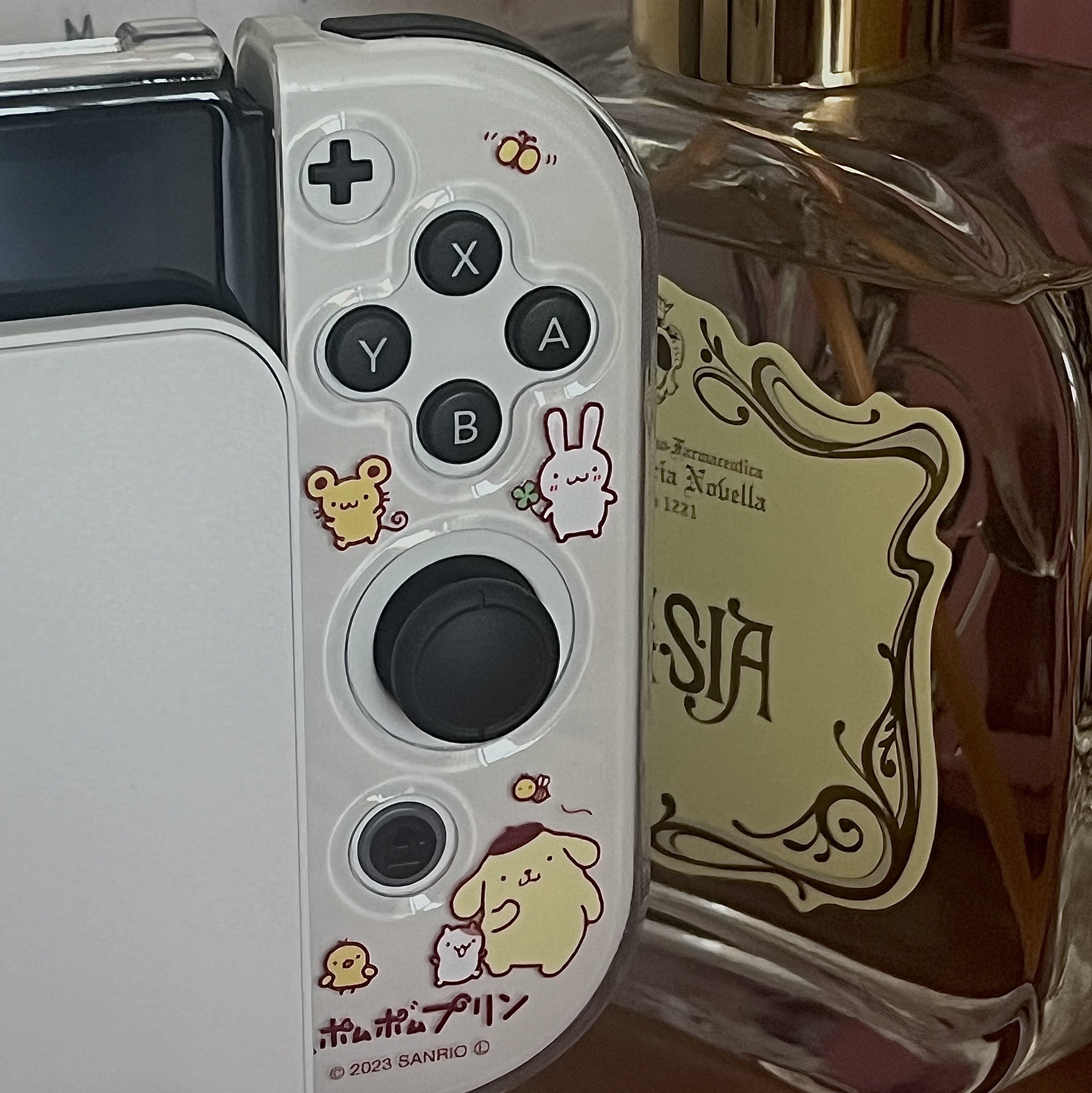 Nintendo Switch OLED White (Korean Ver.) 착용 스타일