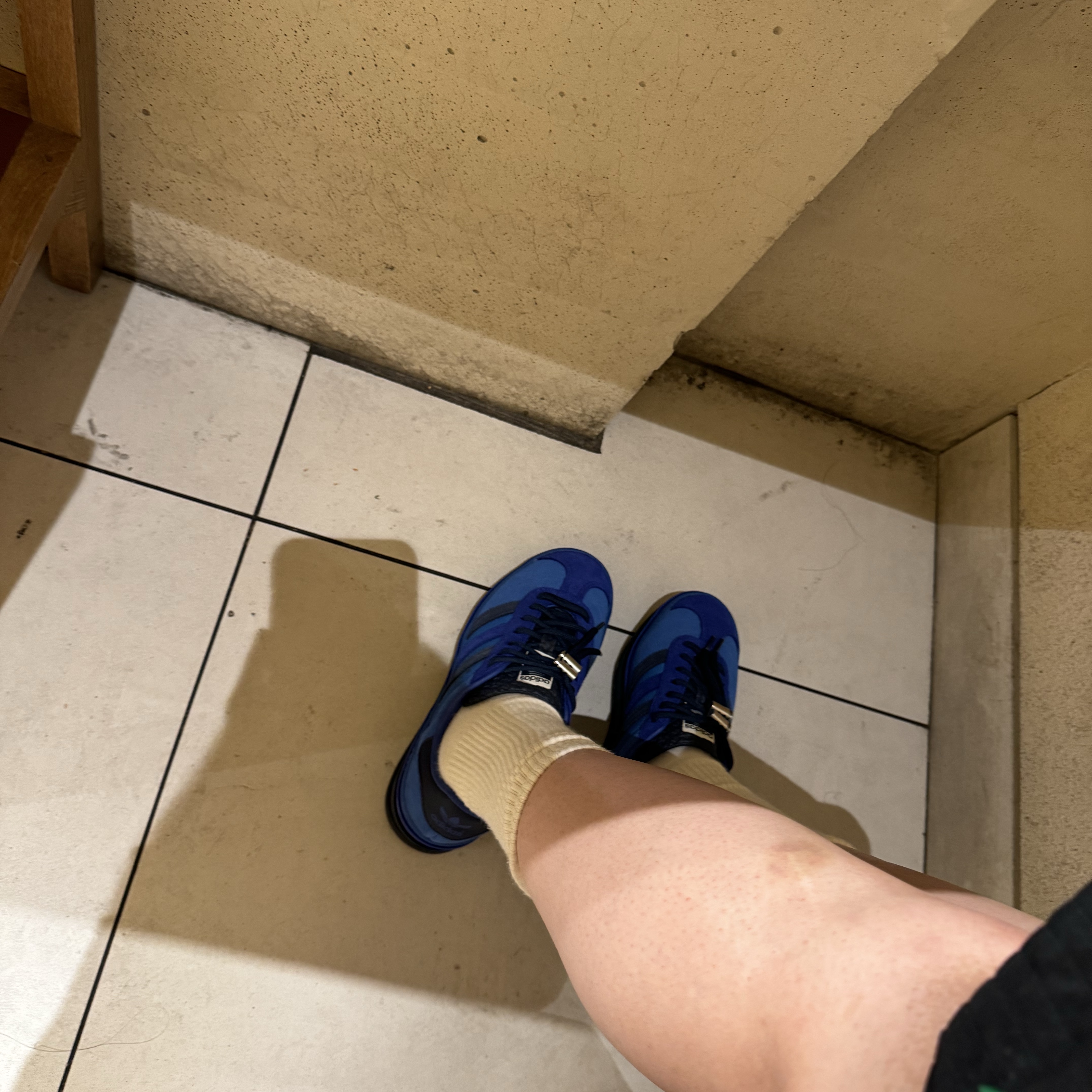 (W) Adidas x Ordinary People Gazelle Bold Bright Royal Semi Lucid Blue 착용 스타일 - 5