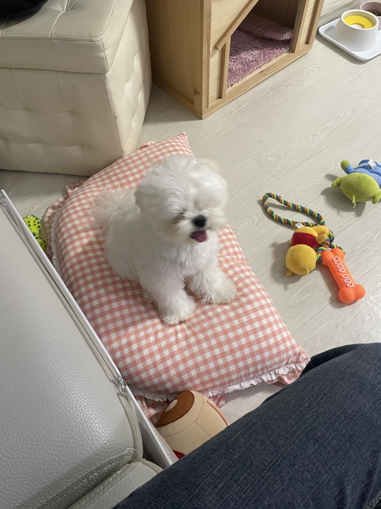 KREAM 프로필 이미지
