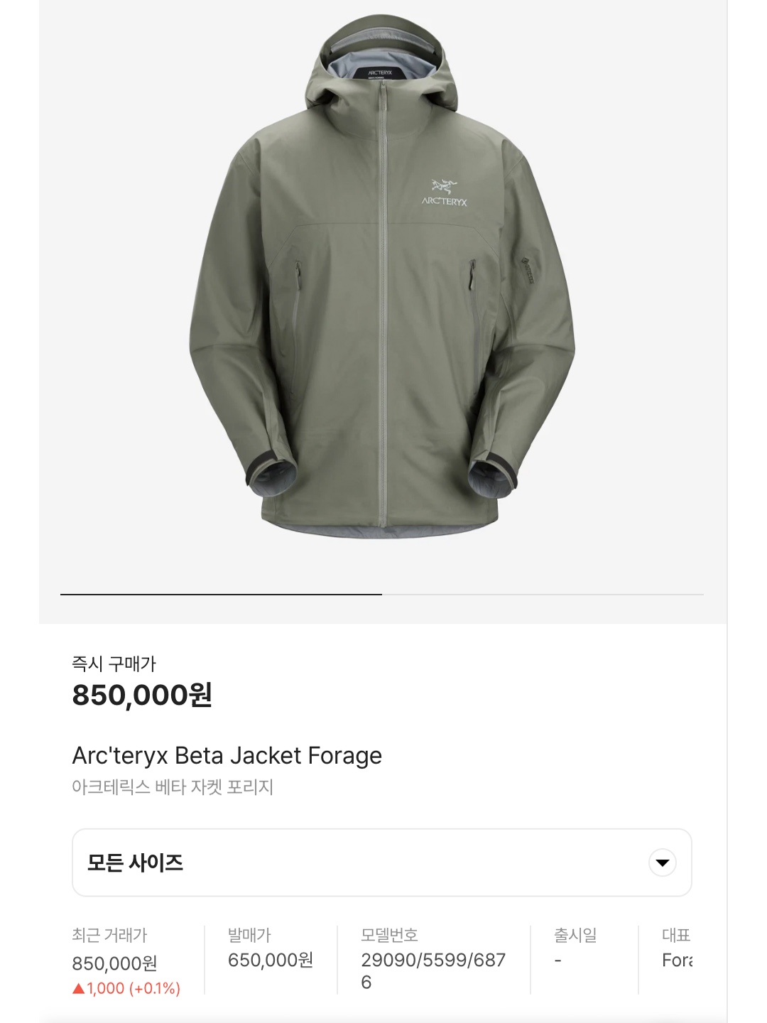 Arc'teryx Beta Jacket Forage, Stussy Wave Dye Beach Shell Jacket Bone 착용 스타일 - 8