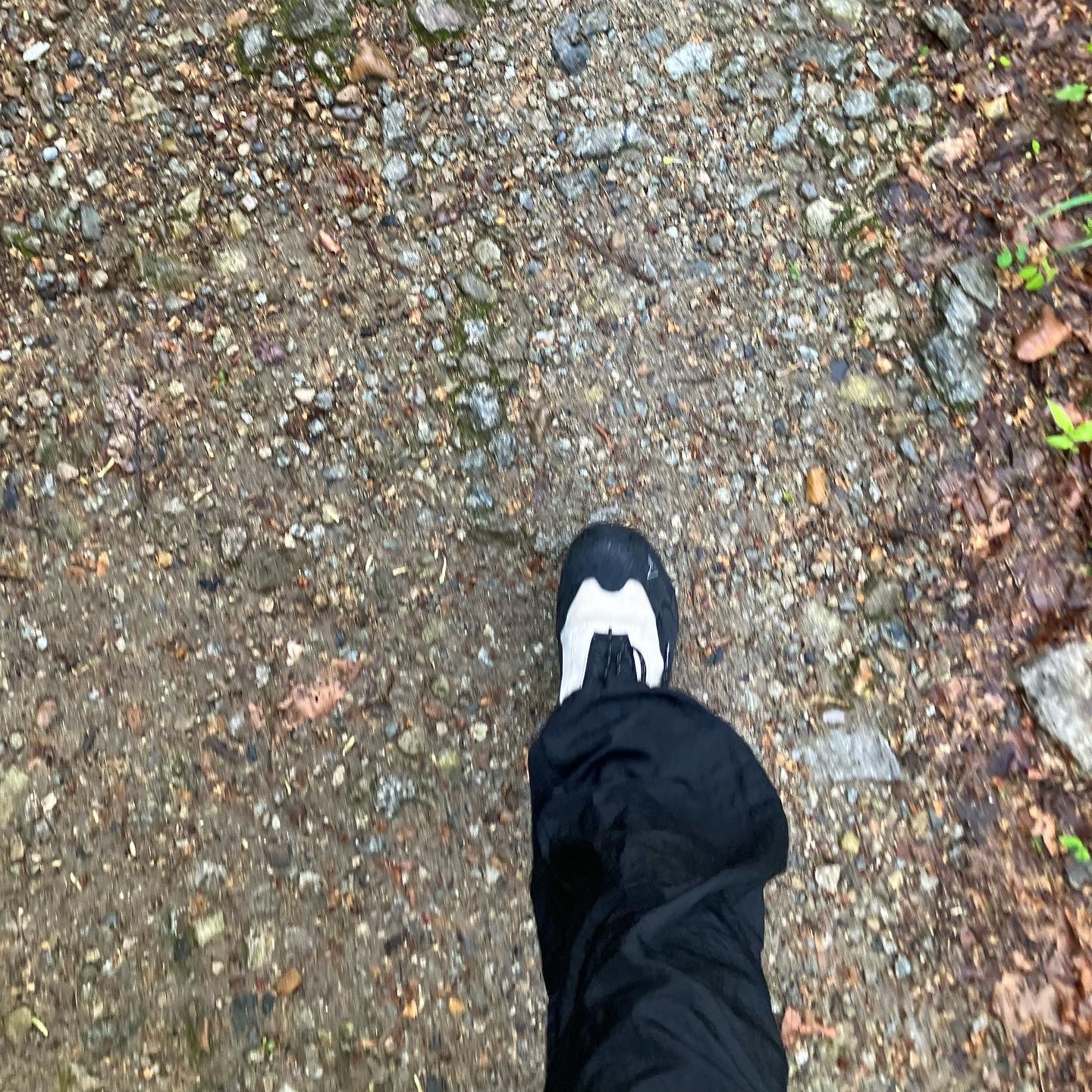 Arc'teryx Squamish Hoody Fluidity, Roa Hiking Katharina Ecostep Vibram Sole Sand 착용 스타일 - 3