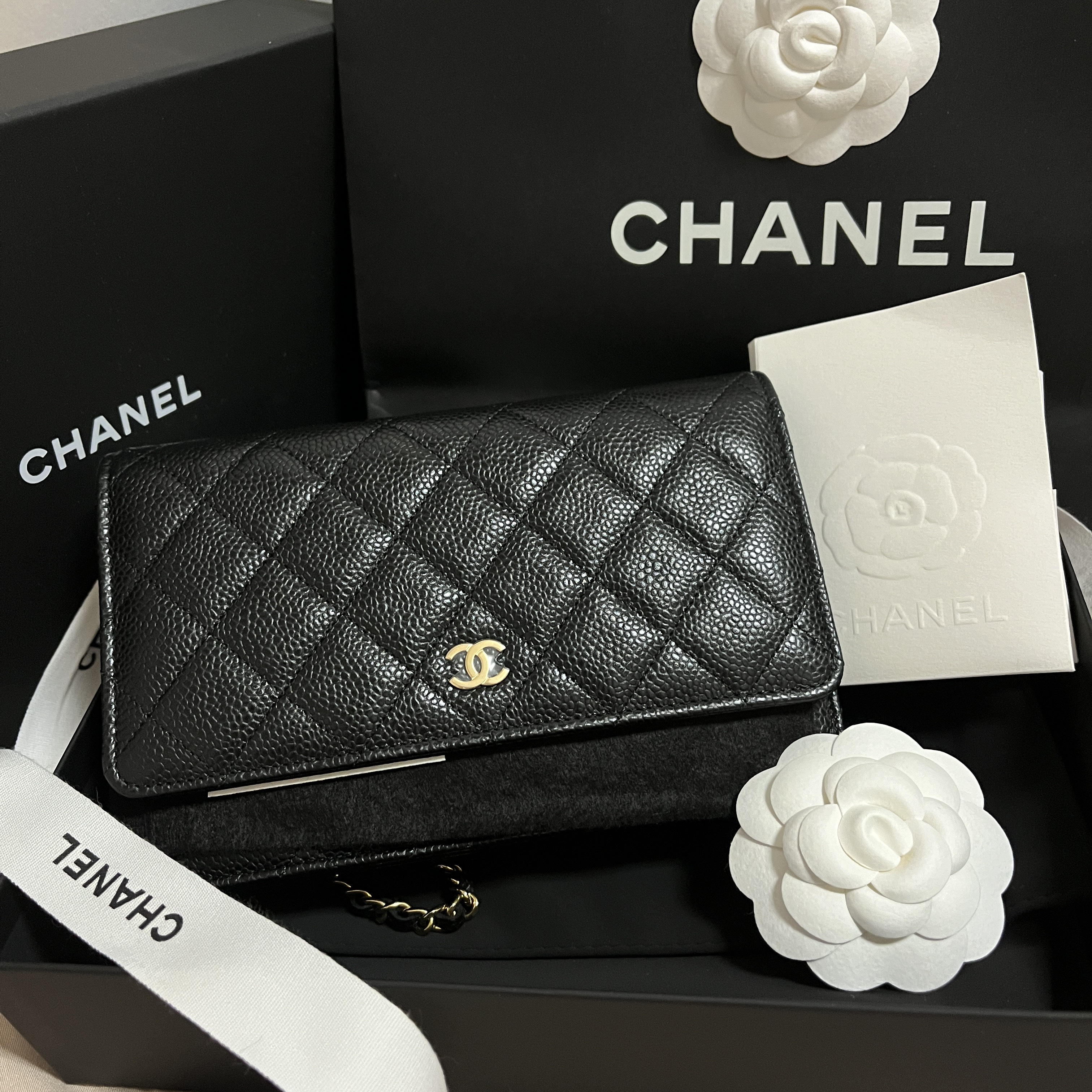 Chanel Classic Wallet On Chain Grained Calfskin & Gold Black 착용 스타일