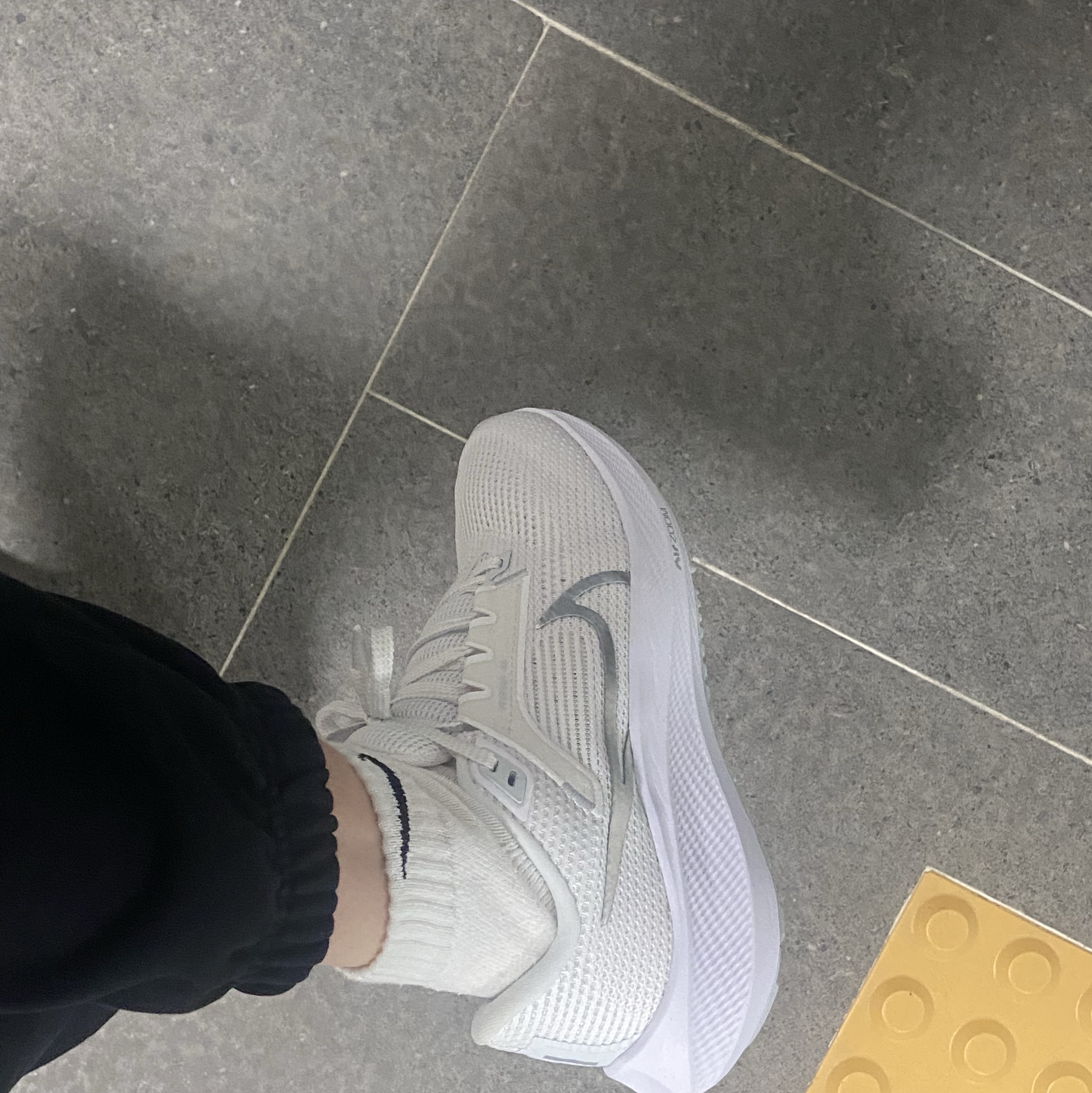 (W) Nike Air Zoom Pegasus 40 White Metallic Silver 착용 스타일