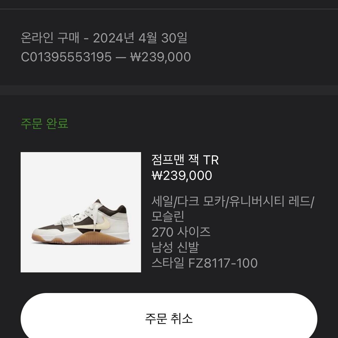 Jordan x Travis Scott Jumpman Jack TR Sail and Dark Mocha 착용 스타일