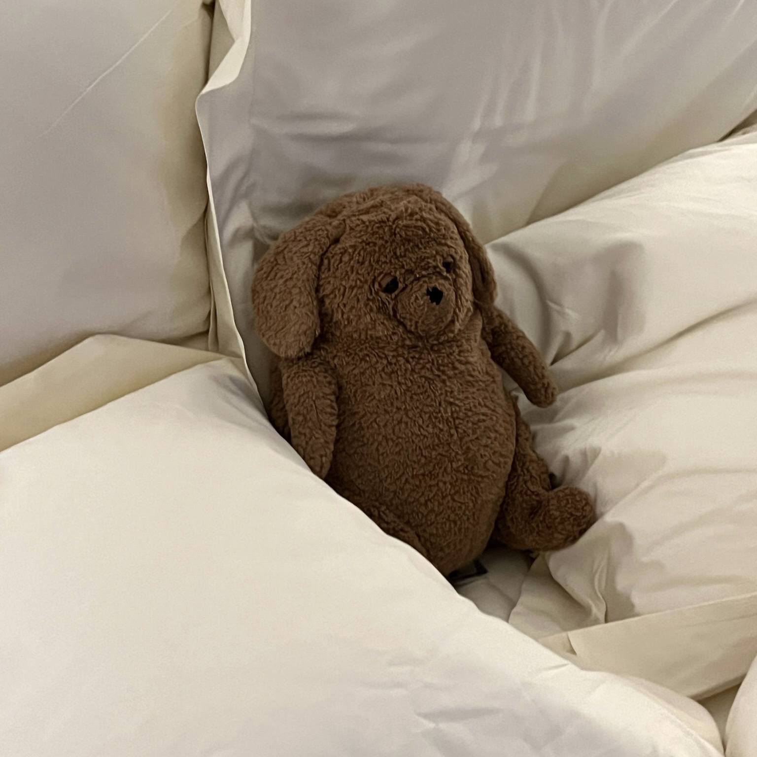 Jellycat Amore Dog Brown 착용 스타일 - 2
