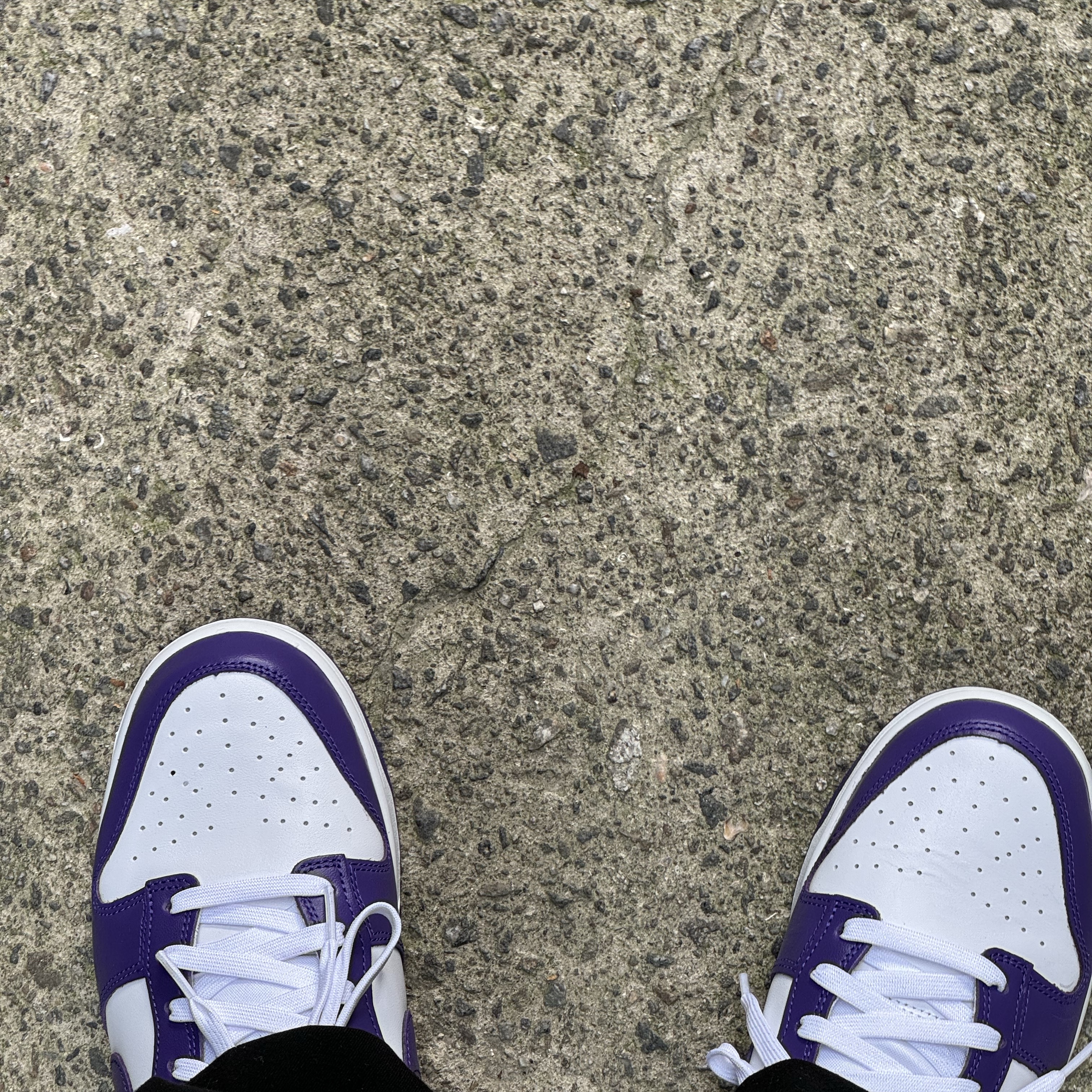 Nike Dunk Low Retro Championship Court Purple 착용 스타일