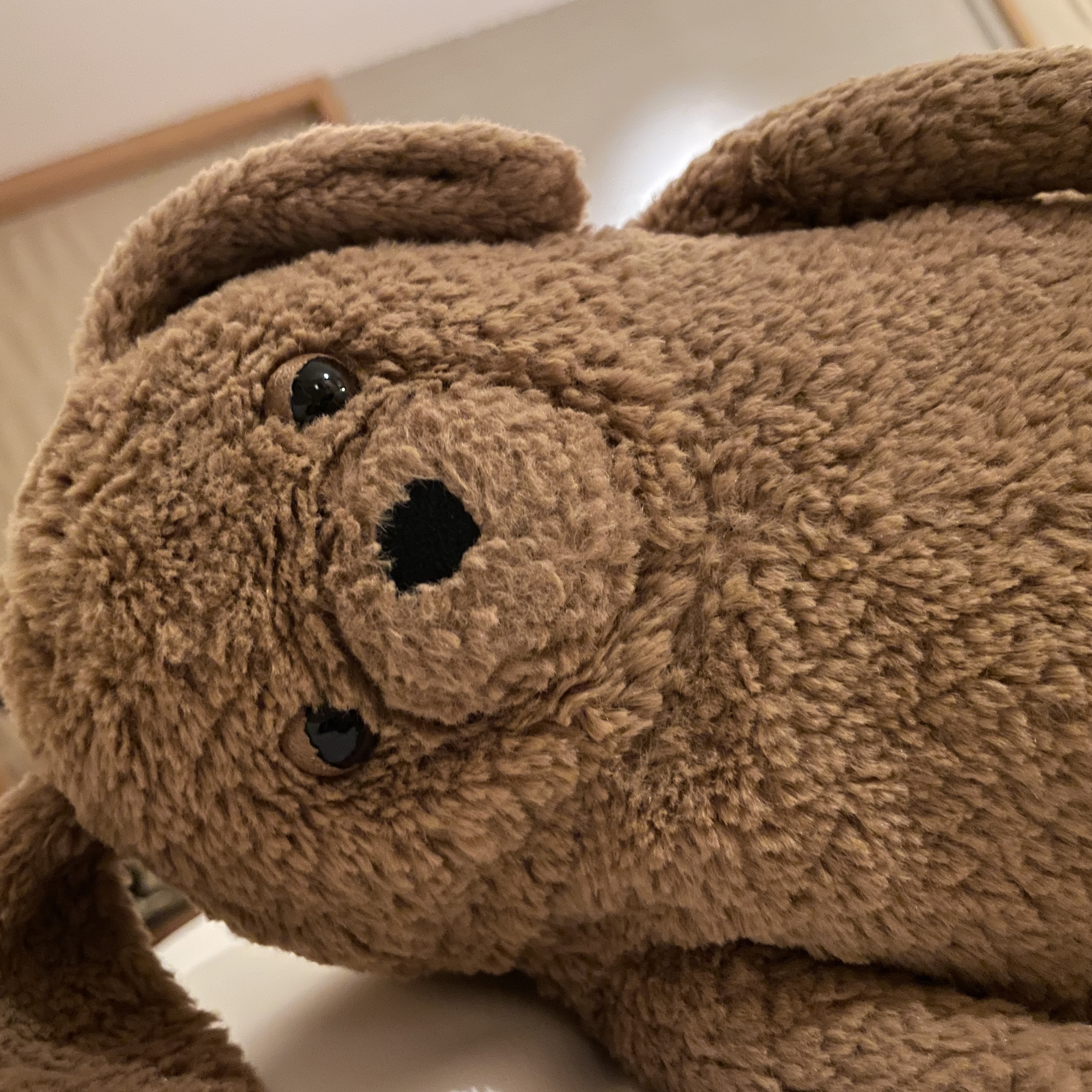 Jellycat Amore Dog Brown 착용 스타일 - 1