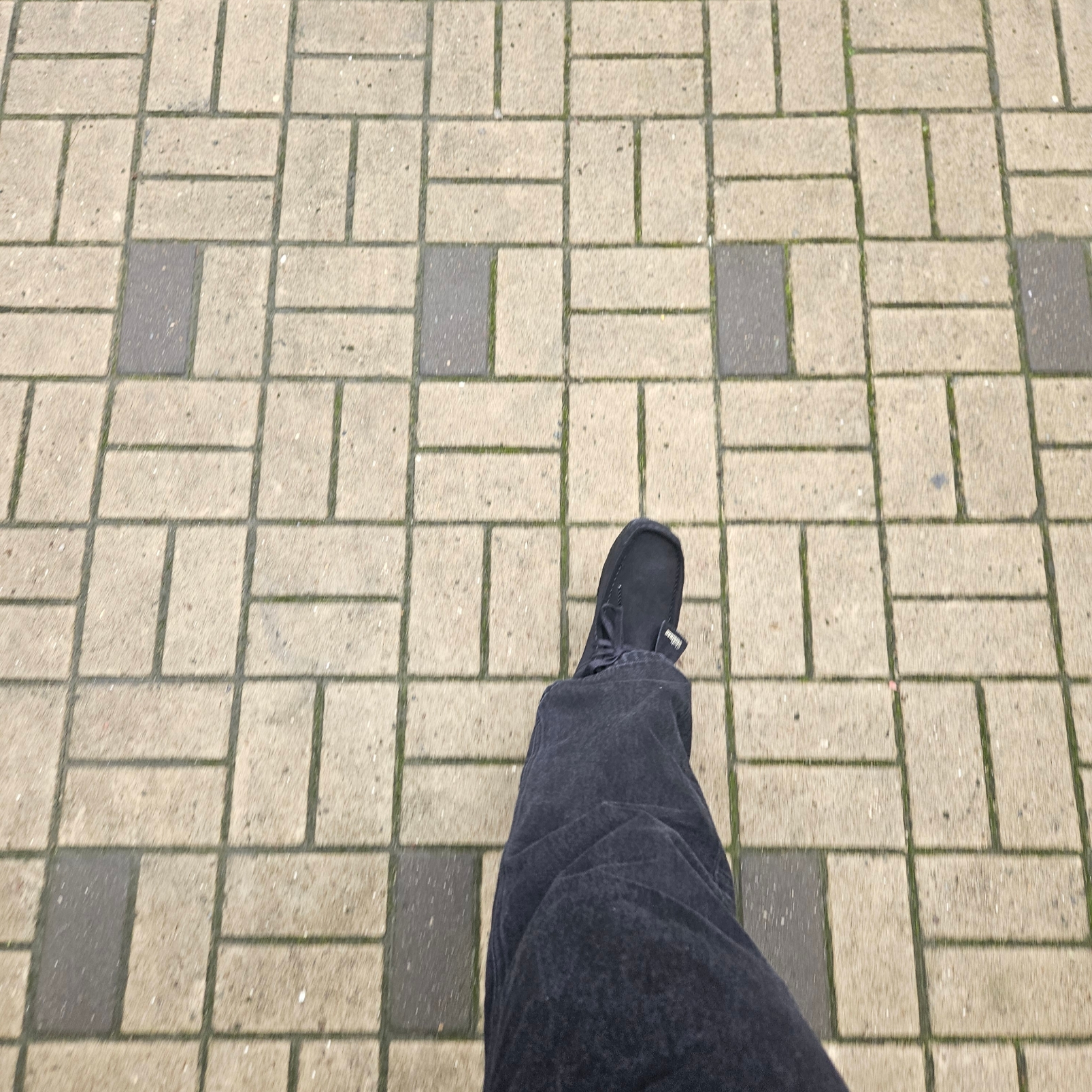 Clarks Wallabee Black Suede 착용 스타일 - 1