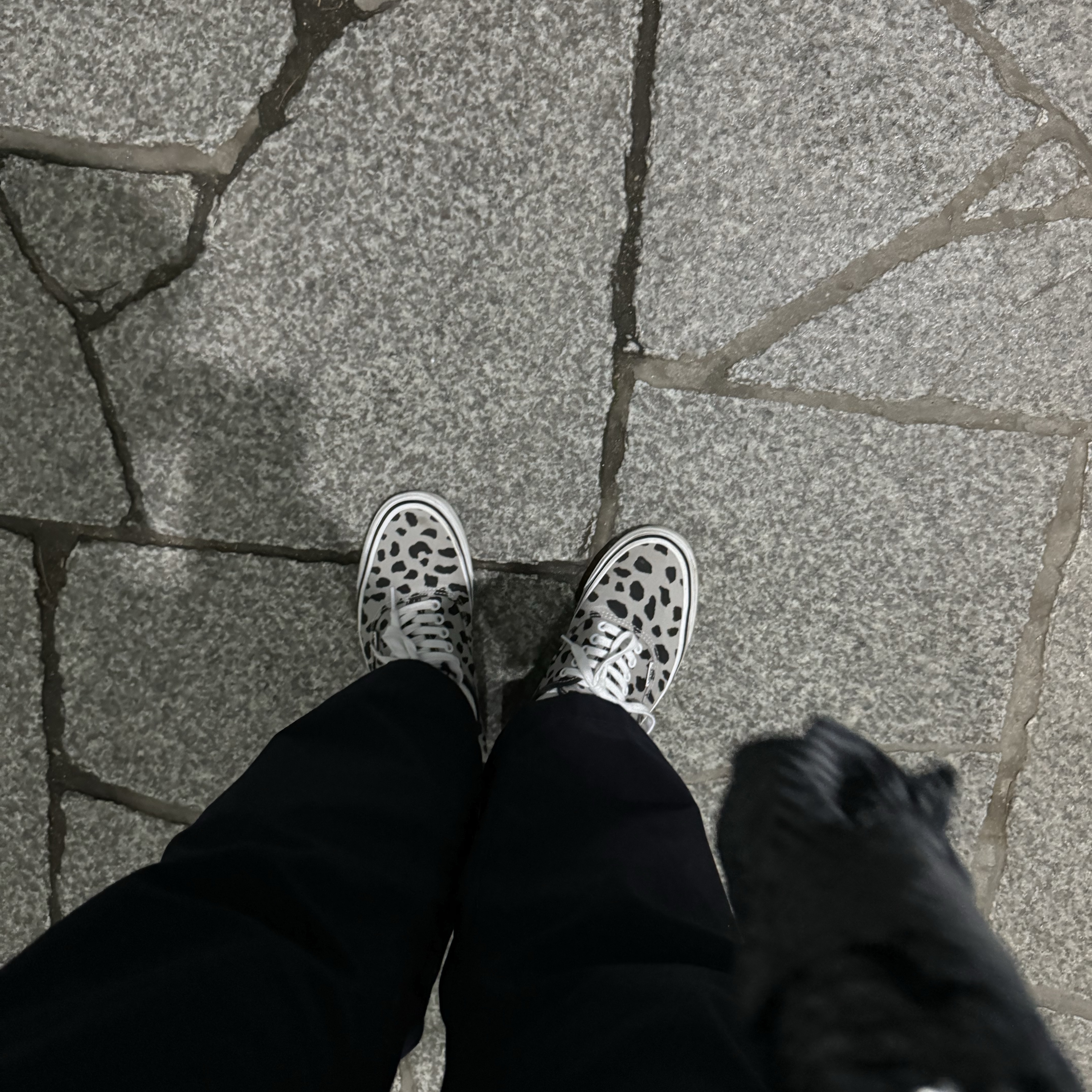 Vans Vault x Wacko Maria OG Authentic LX Leopard Grey 착용 스타일