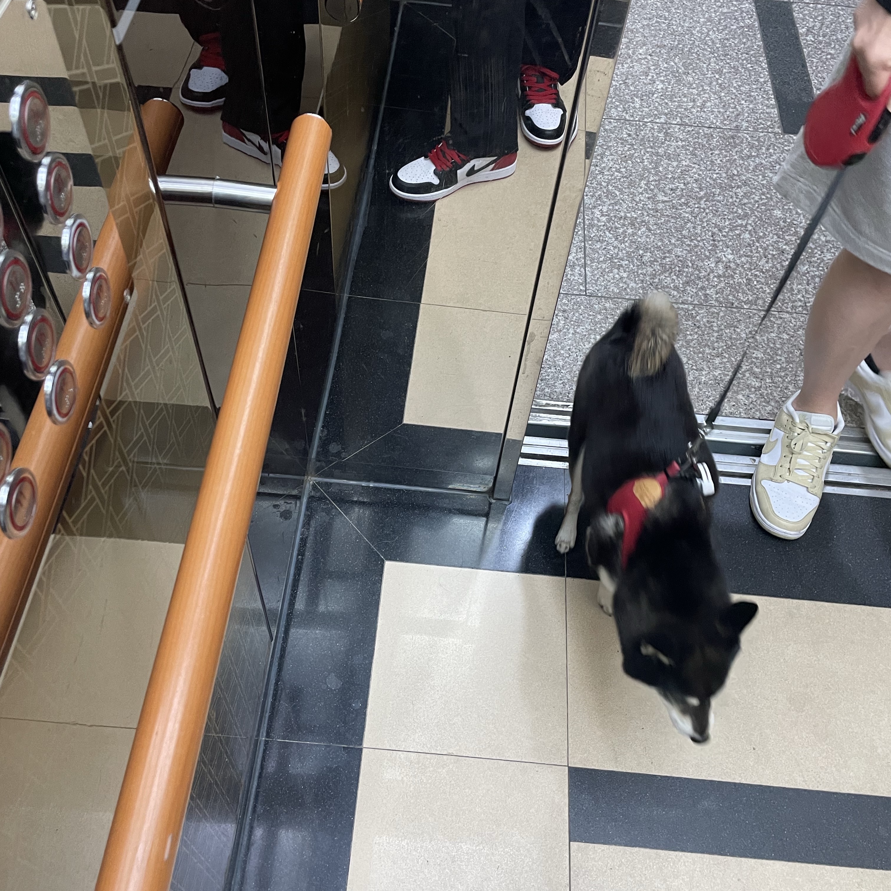 Jordan 1 Retro Low OG Black Toe 착용 스타일