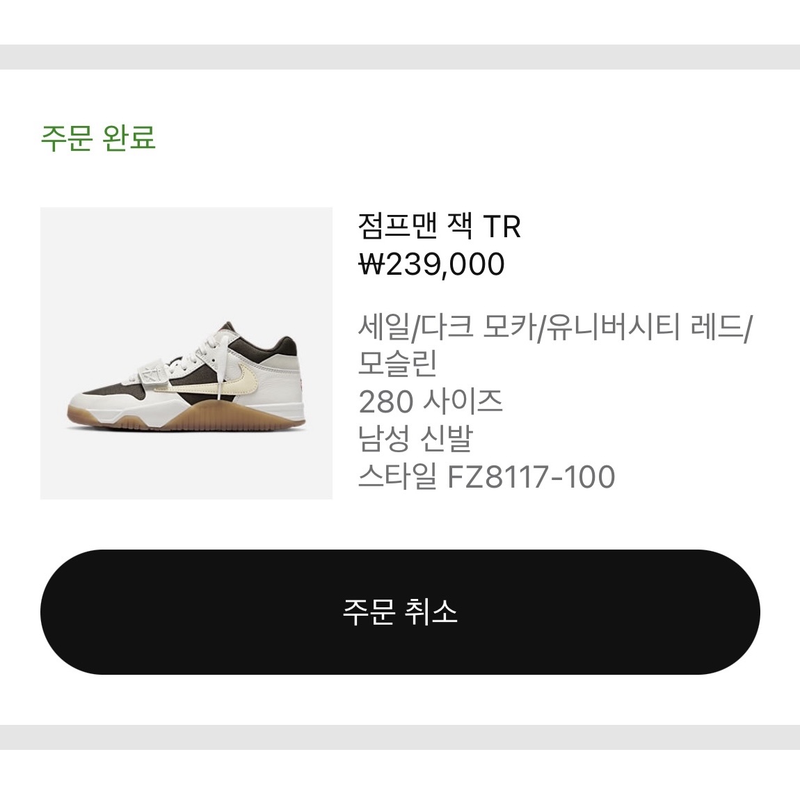Jordan x Travis Scott Jumpman Jack TR Sail and Dark Mocha 착용 스타일