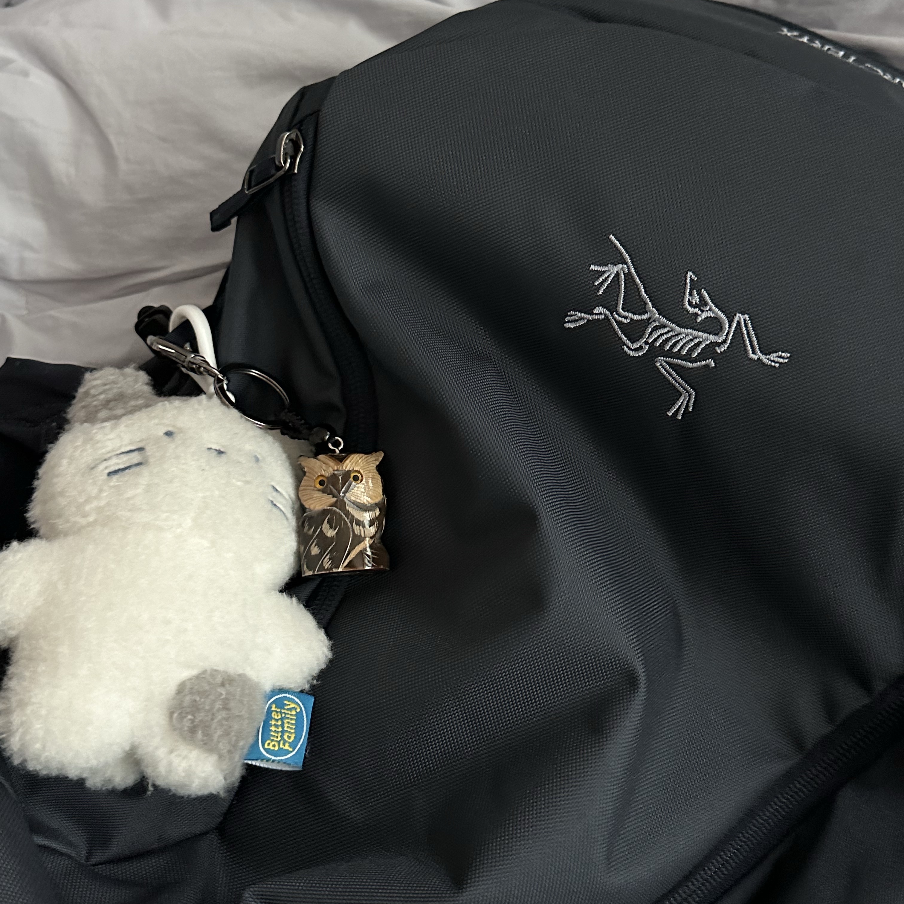 Arc'teryx Mantis 26 Backpack Black sapphire 착용 스타일