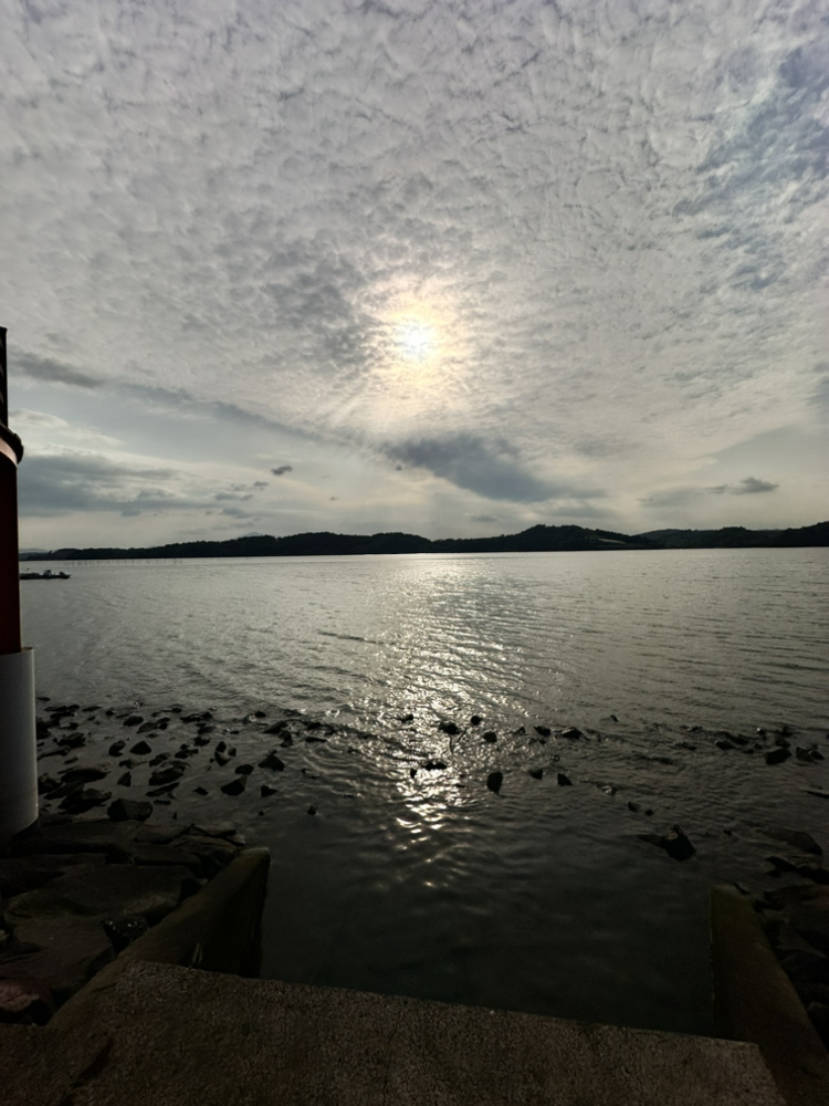 관심 유저 프로필 이미지