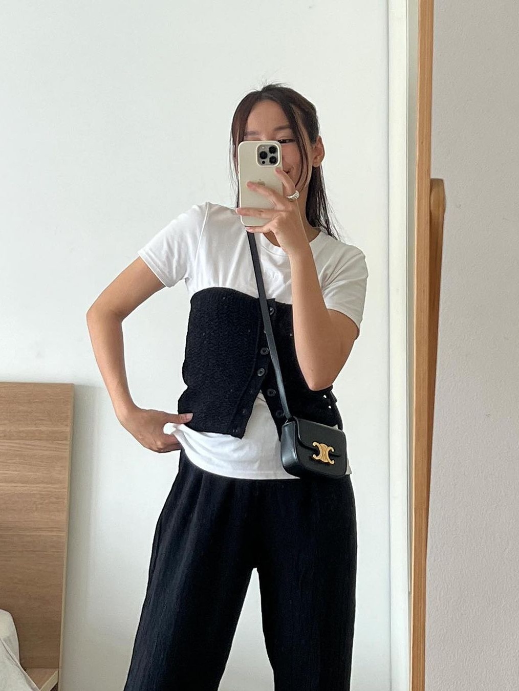 Celine Oval Bag Cuir Triomphe in Smooth Calfskin Tan, Celine Mini Claude in Calfskin Croco Effect Embossed Triomphe Black 착용 스타일 - 4