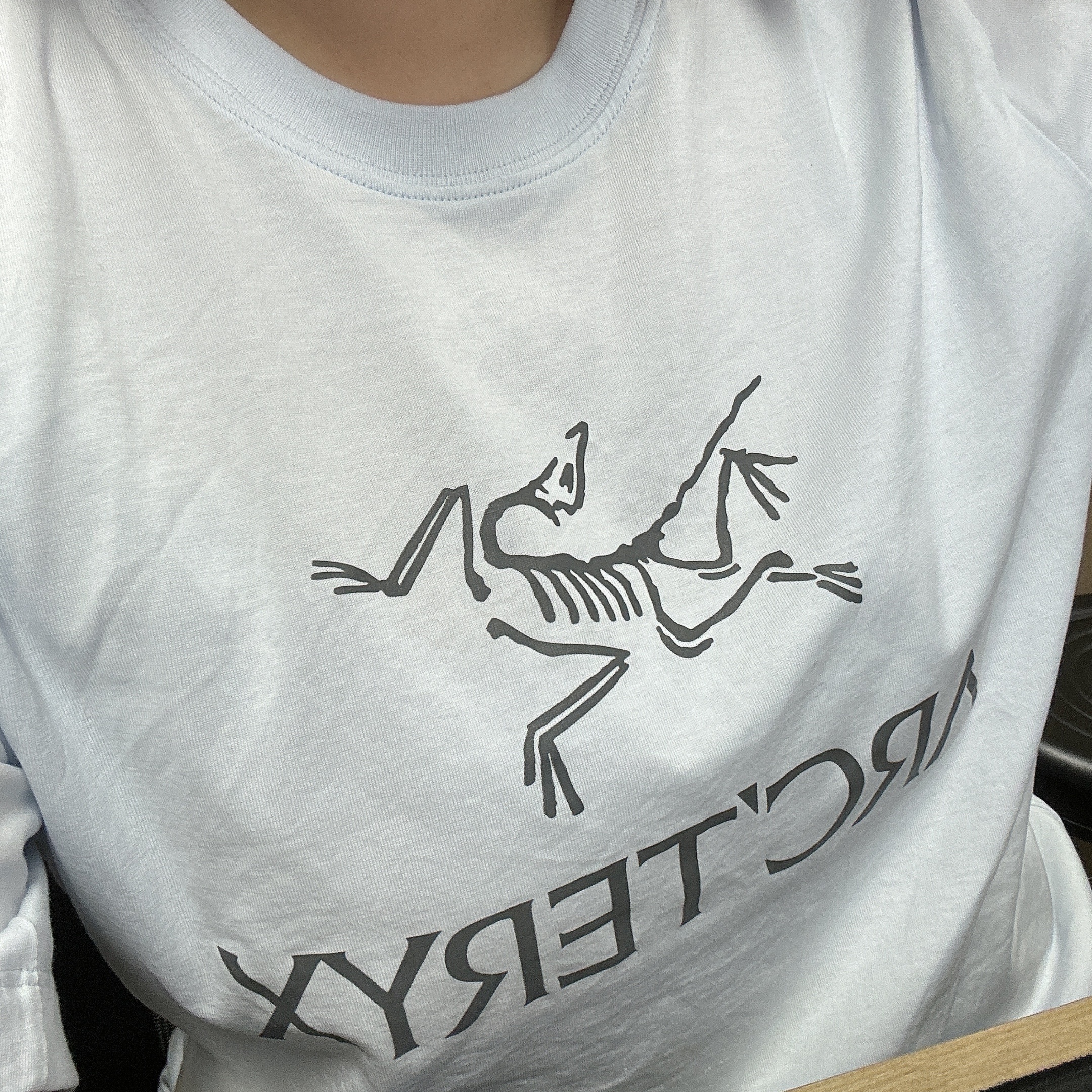 Arc'teryx Arc'word Logo SS T-Shirt Daybreak 착용 스타일