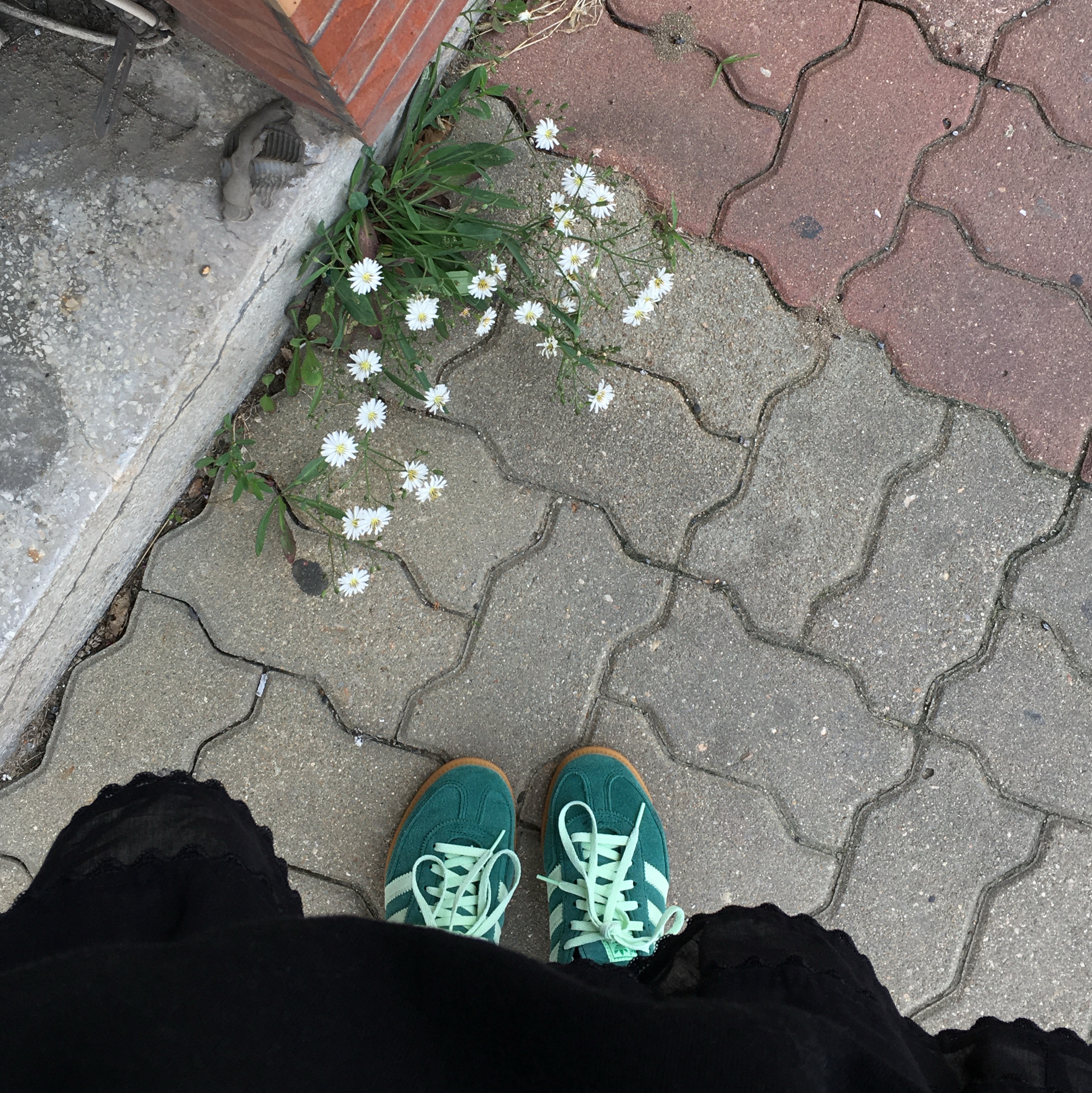 (W) Adidas Spezial Handball Collegiate Green 착용 스타일 - 1