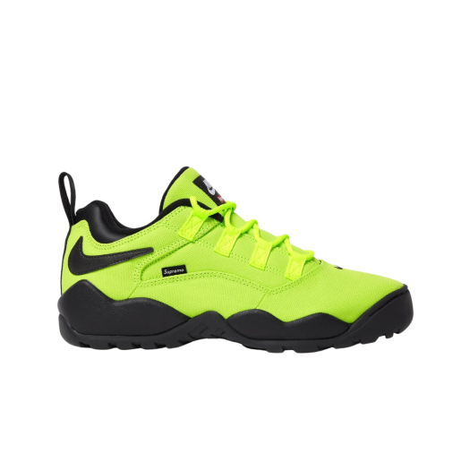 Nike x Supreme SB Darwin Low Green