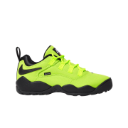 Nike x Supreme SB Darwin Low Green