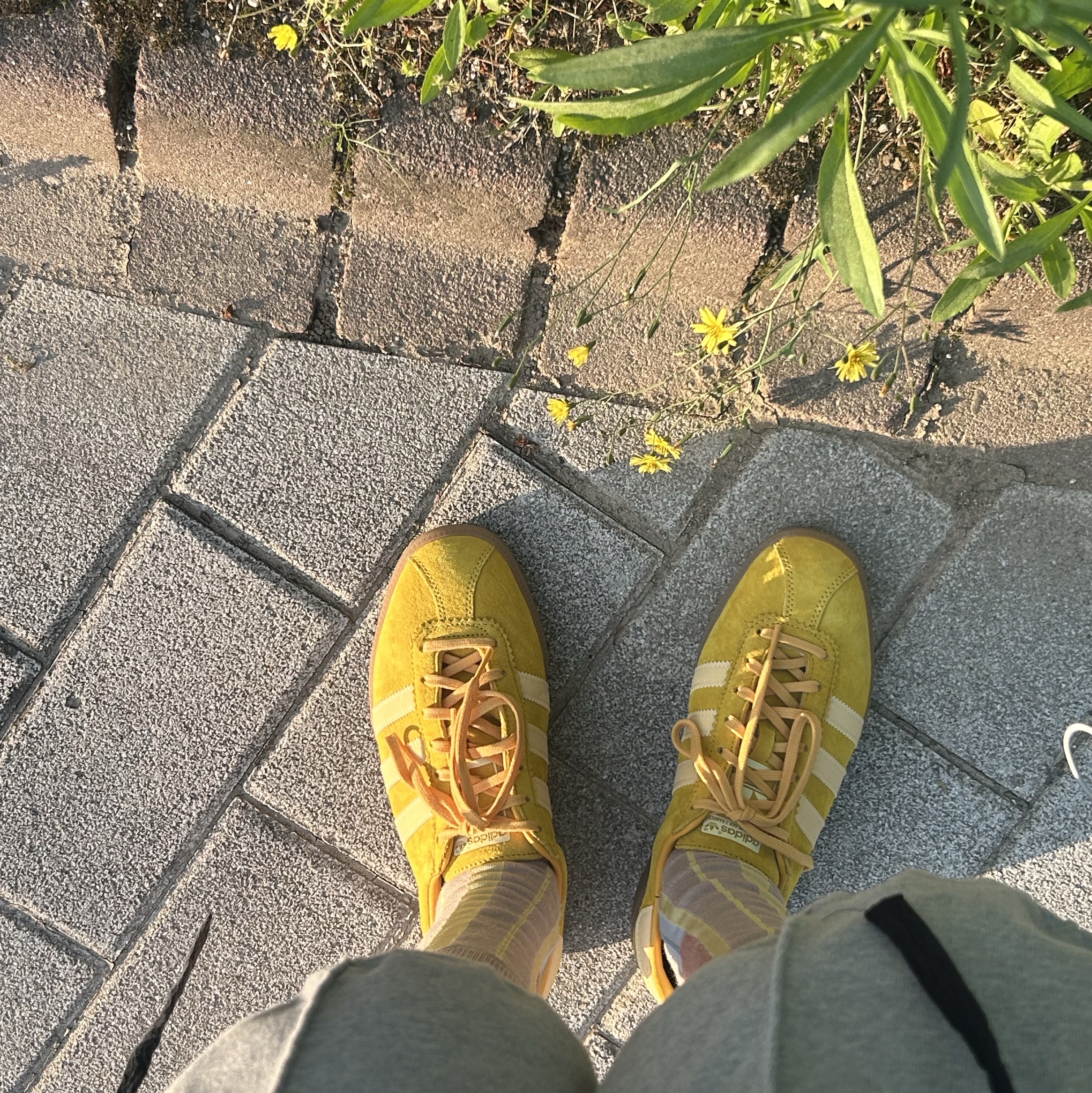 Adidas Bermuda Bold Gold 착용 스타일