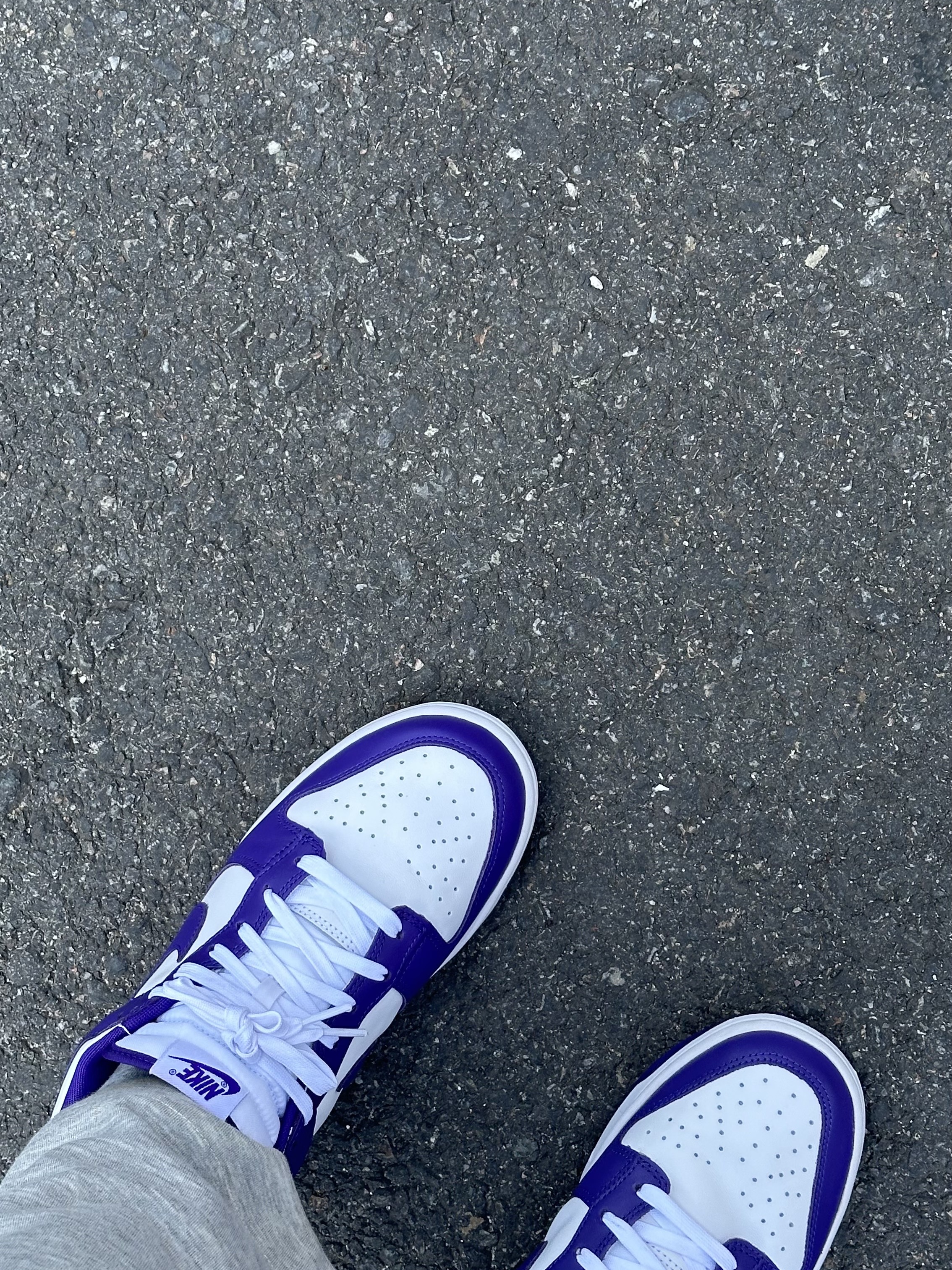 Nike Dunk Low Retro Championship Court Purple 착용 스타일 - 3