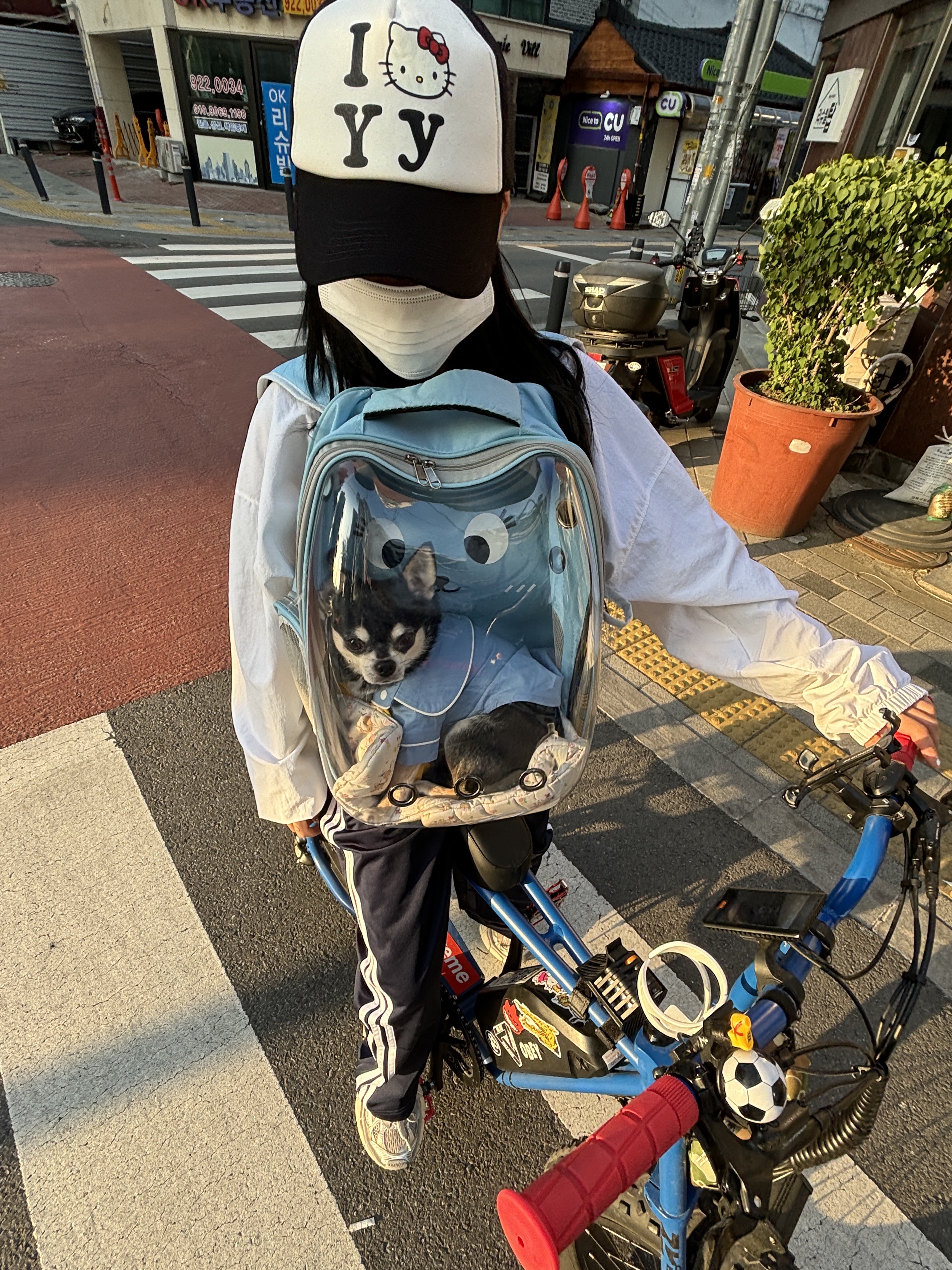 Open Yy x Hello Kitty Trucker Cap Black, (W) Adidas Originals Firebird Loose Track Pants Dark Blue - KR Sizing 착용 스타일