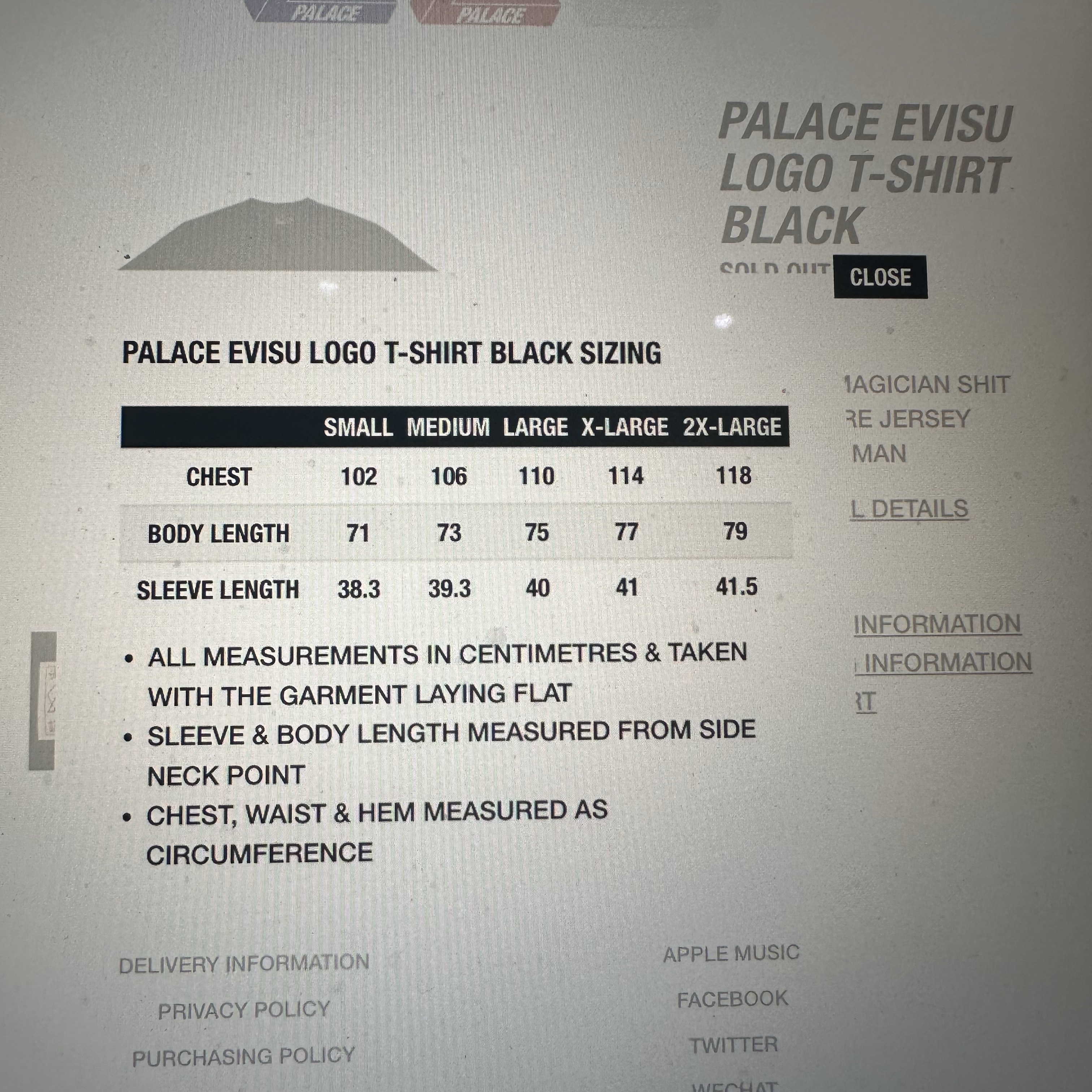 Palace x Evisu T-Shirt Black - 24SS 착용 스타일 - 2