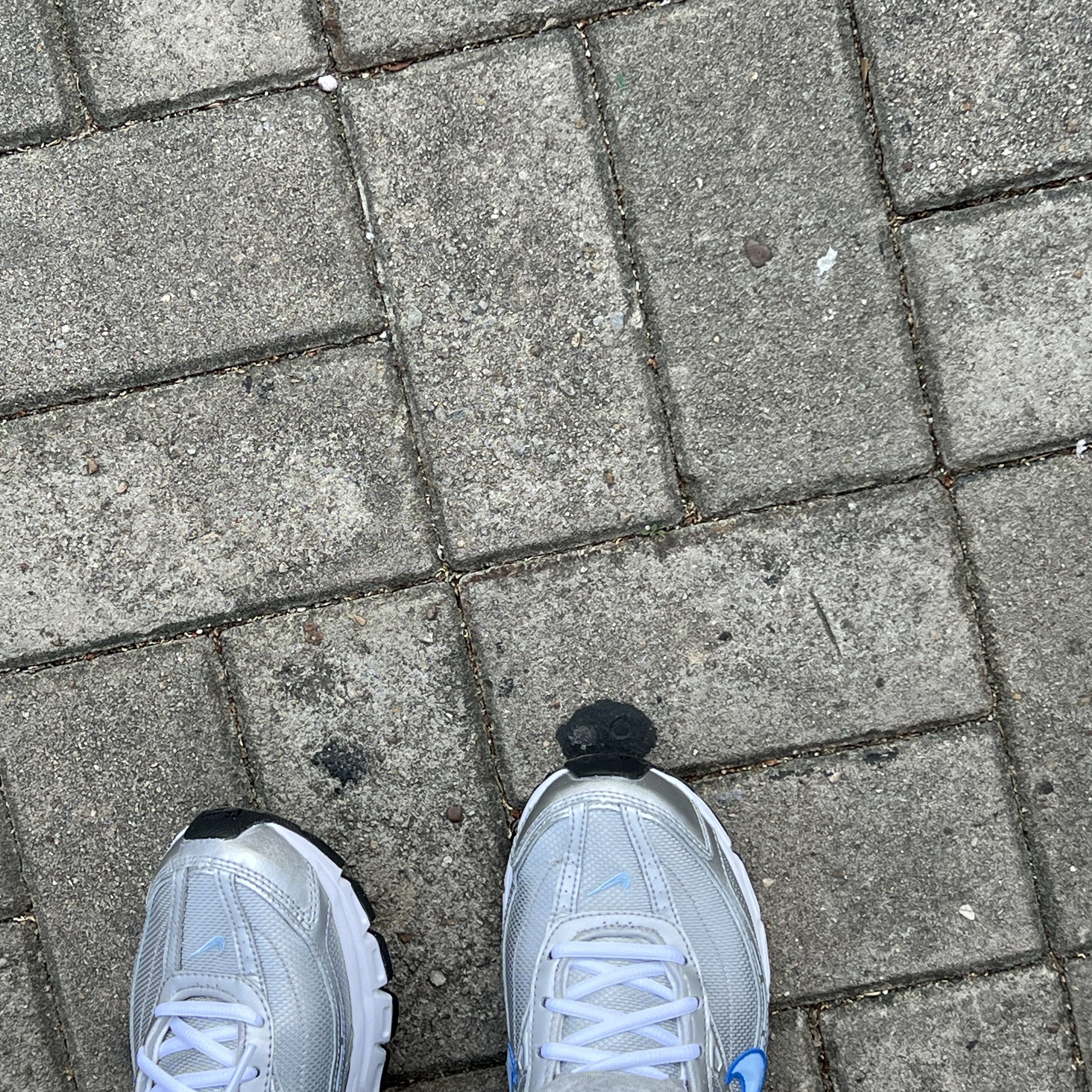 (W) Nike Initiator Metallic Silver Ice Blue 착용 스타일 - 4