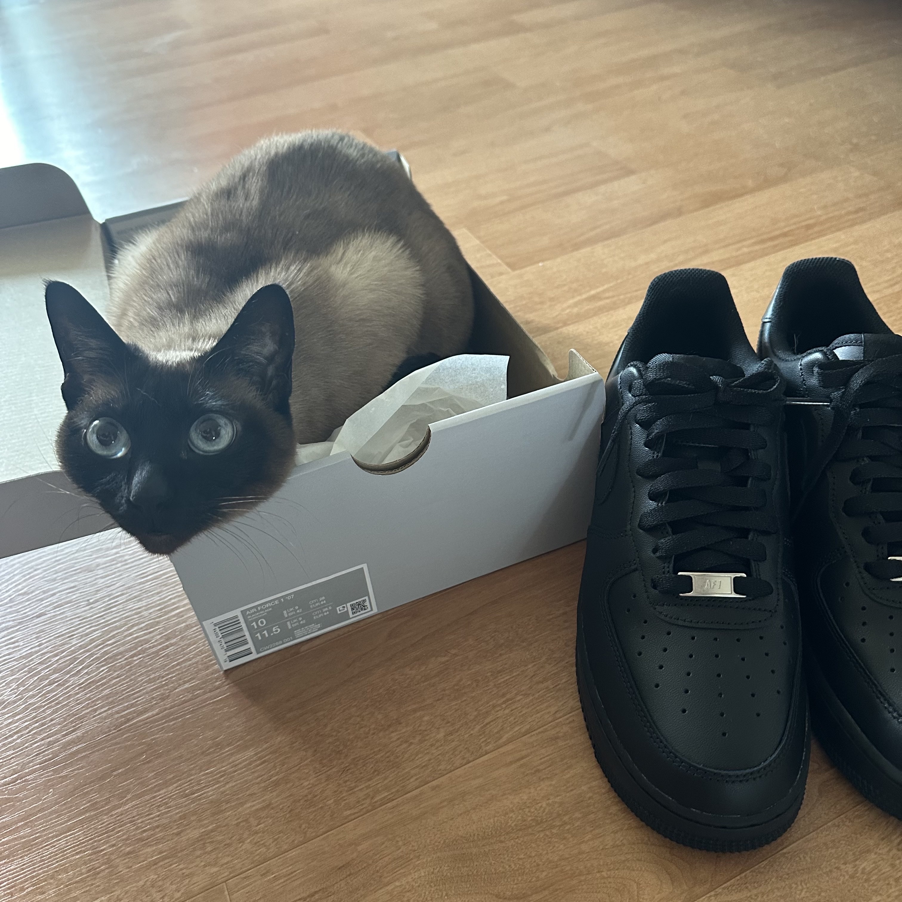 Nike Air Force 1 '07 Low Triple Black 착용 스타일