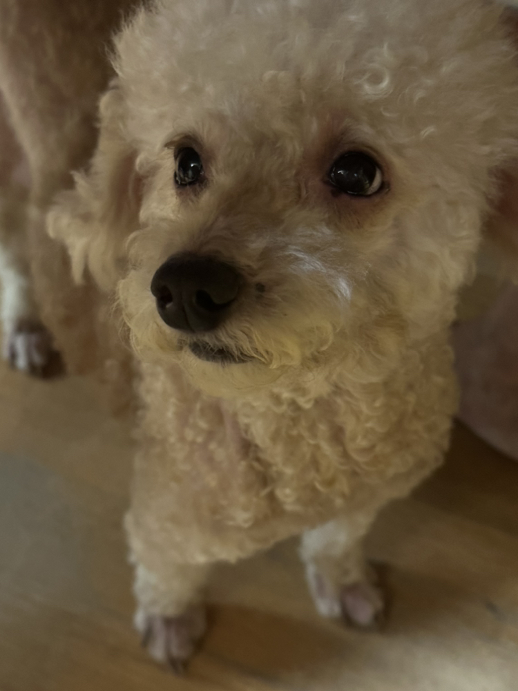 관심 유저 프로필 이미지