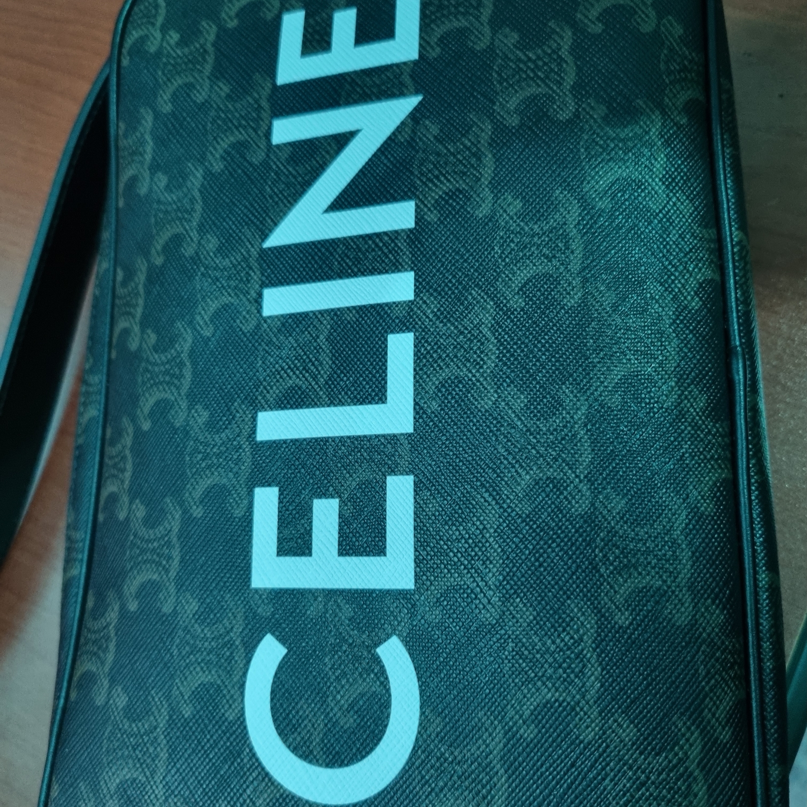 Celine Medium Messenger Bag in Triomphe Canvas with Celine Print Black 착용 스타일