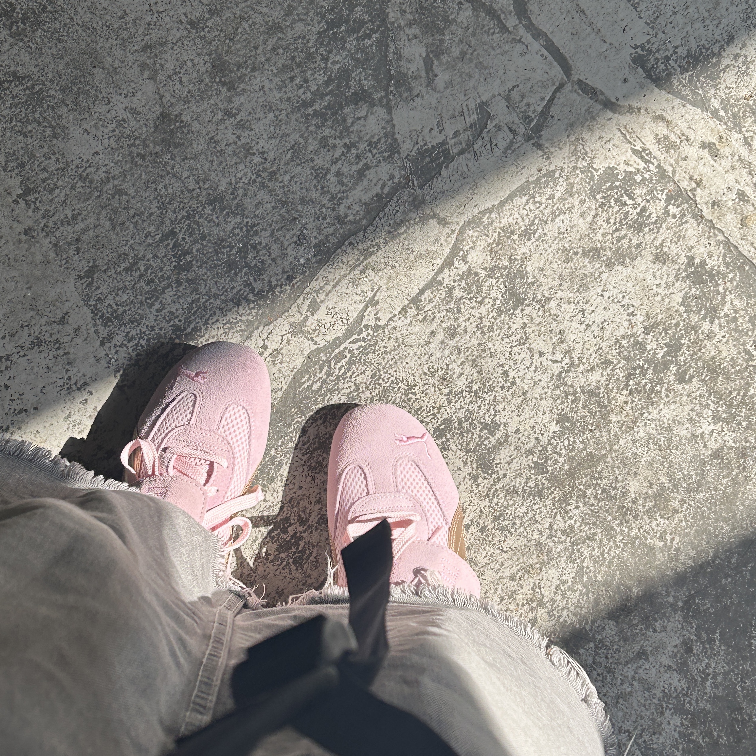 Puma x Open Yy Speedcat Whisp of Pink Chamomile 착용 스타일
