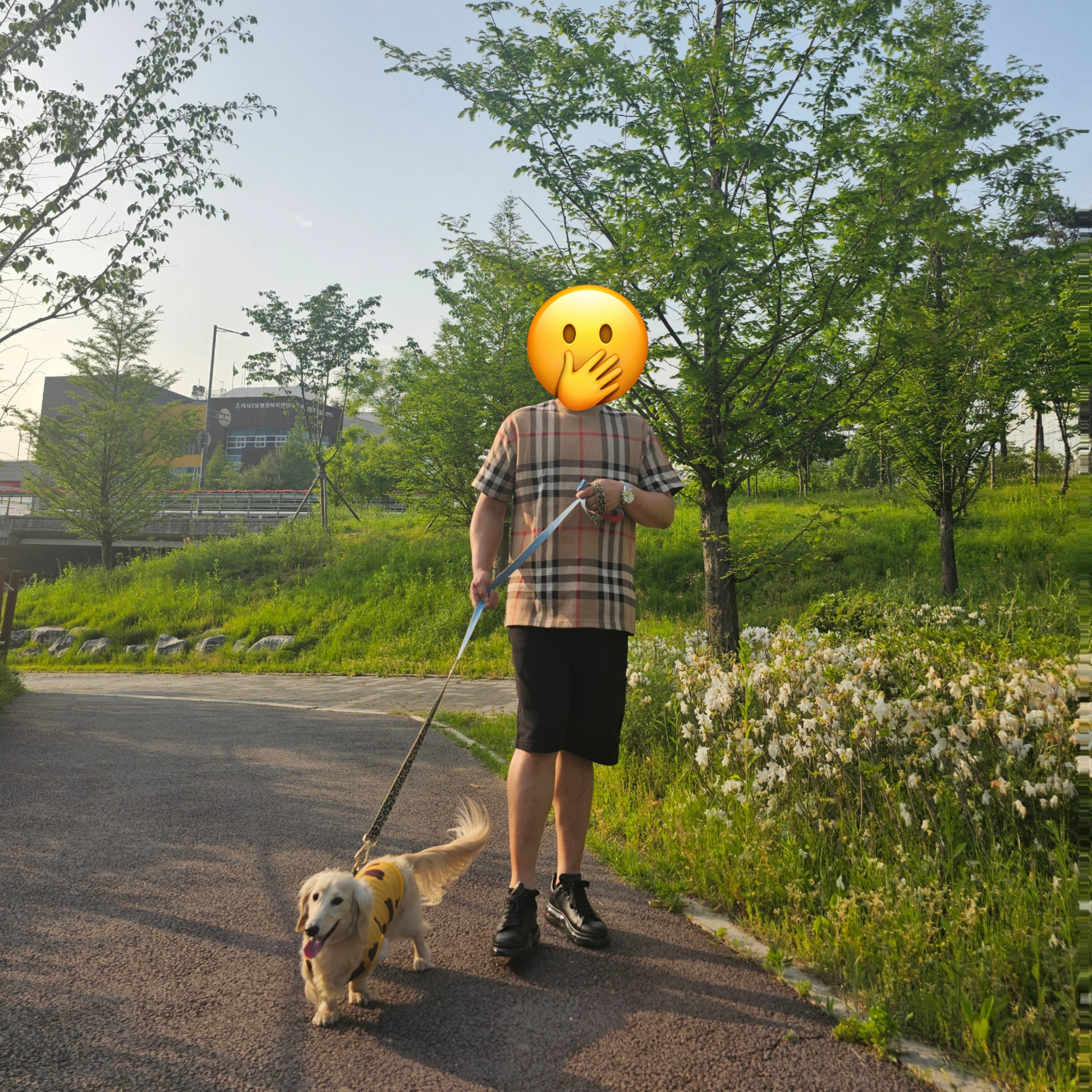 Burberry Check Cotton Jacquard T-Shirt Archive Beige, Stone Island 64651 Fleece Bermuda Shorts Black - 24SS 착용 스타일
