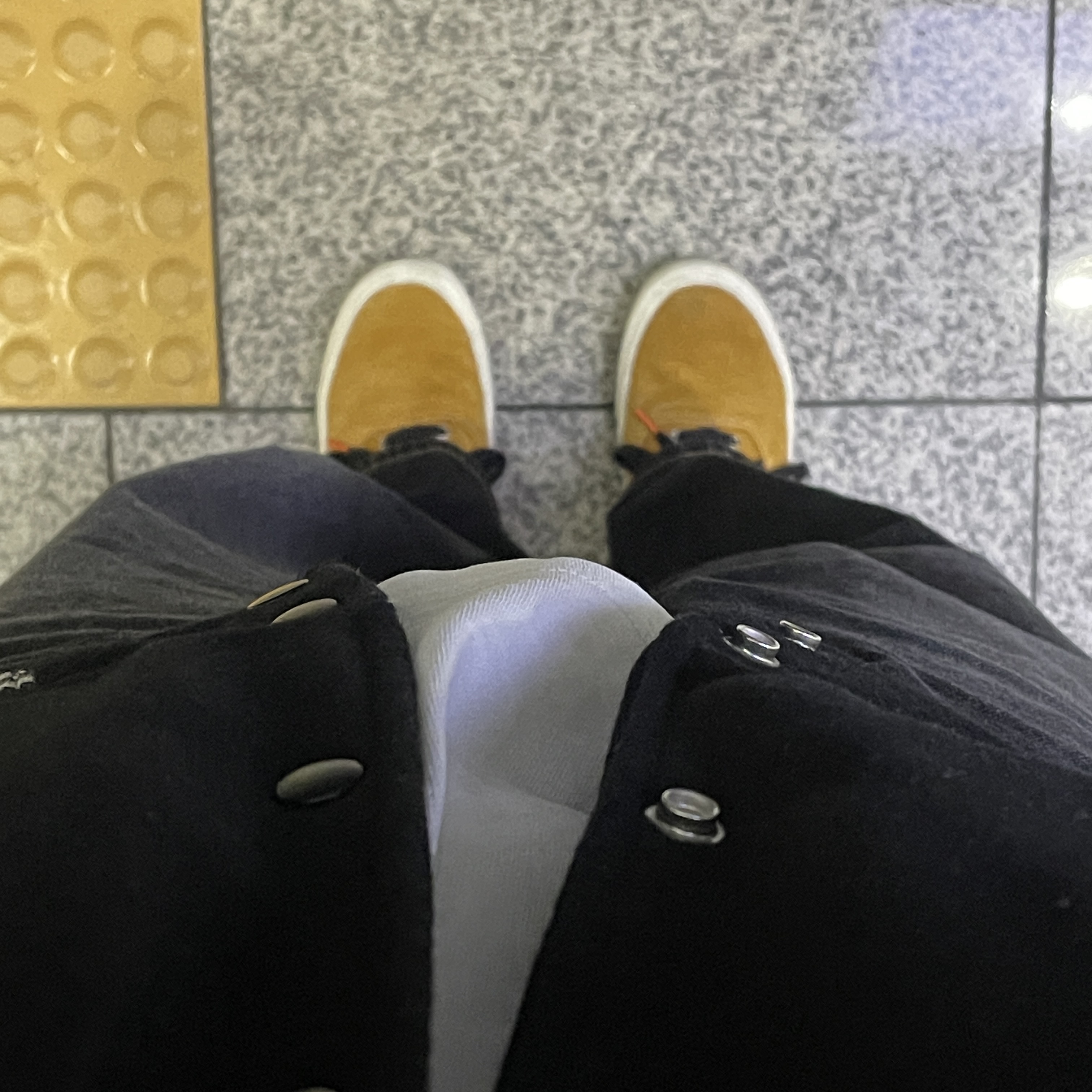 Vans Authentic Convert Growth Garden Sunflower 착용 스타일 - 2