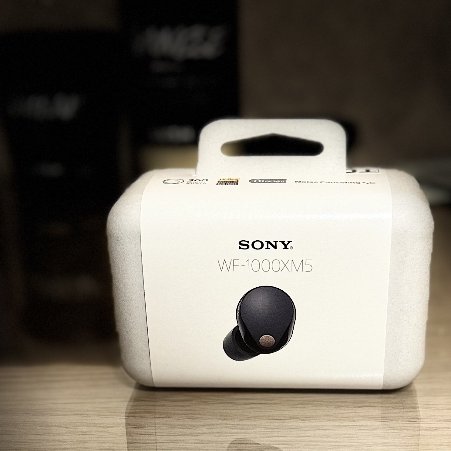 Sony WF-1000XM5 Black (Korean Ver.) 착용 스타일 - 2