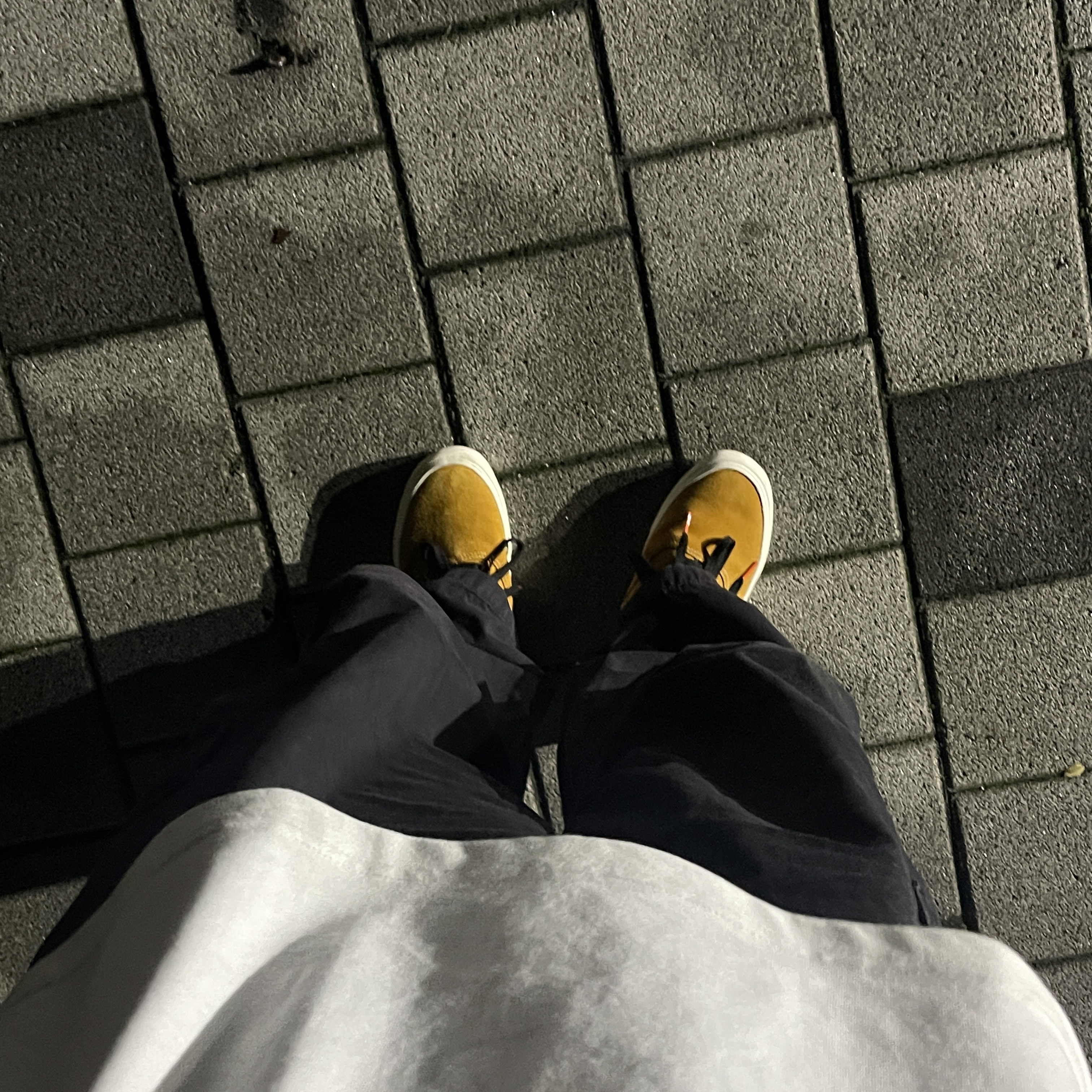 Vans Authentic Convert Growth Garden Sunflower 착용 스타일 - 3