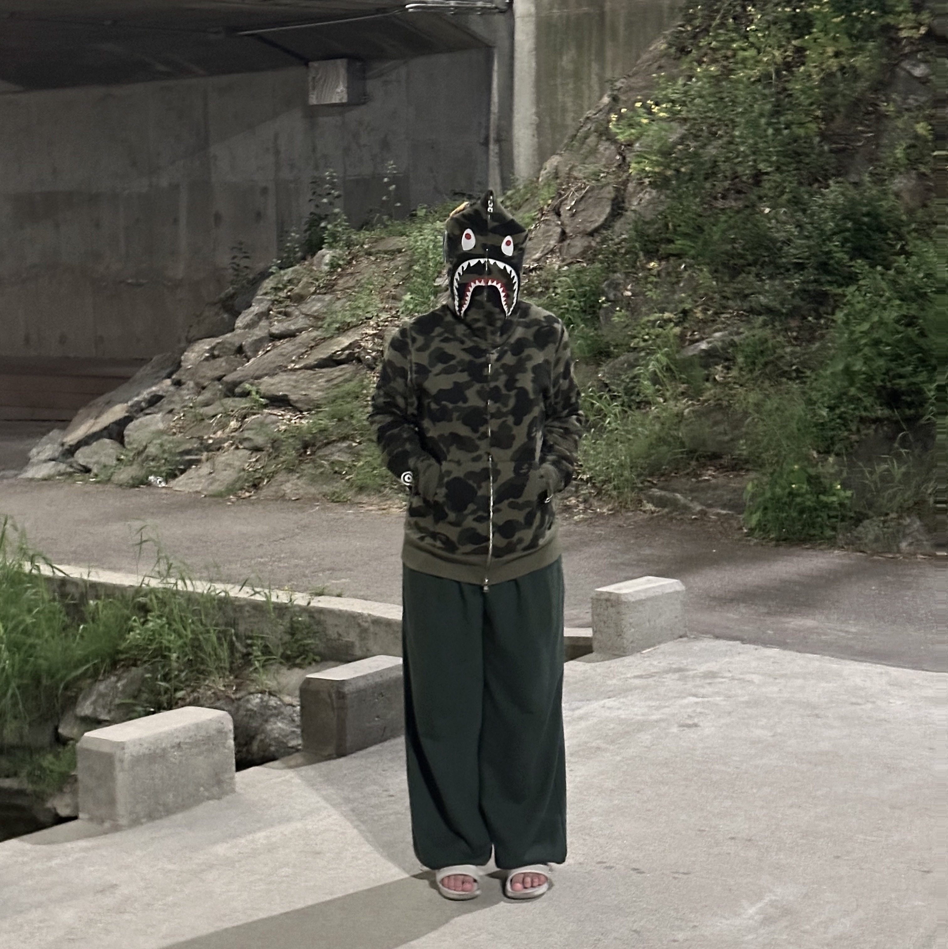 BAPE 1st Camo Shark Full Zip Hoodie Army Green 착용 스타일 - 2