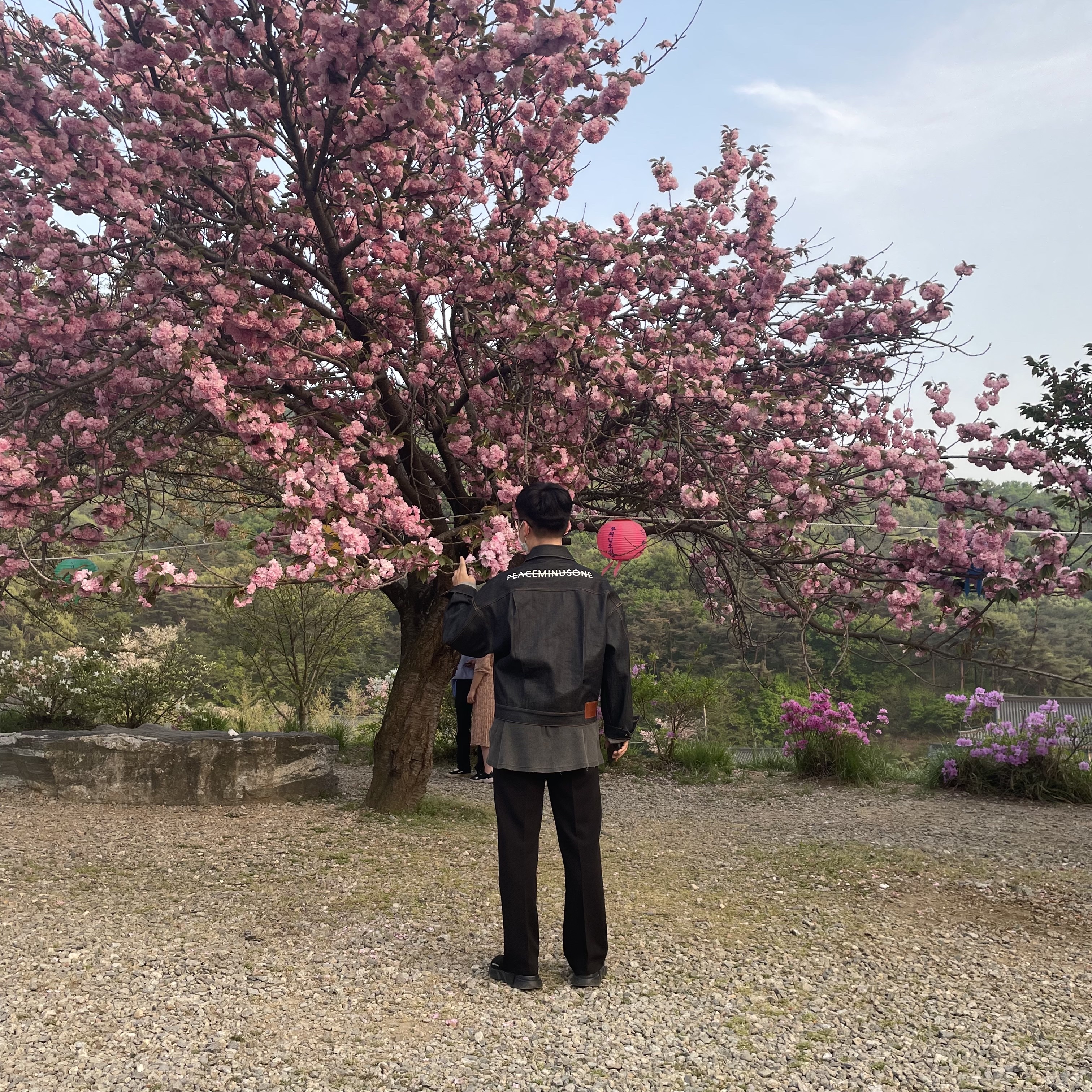 ์์
์ด๋ฏธ์ง