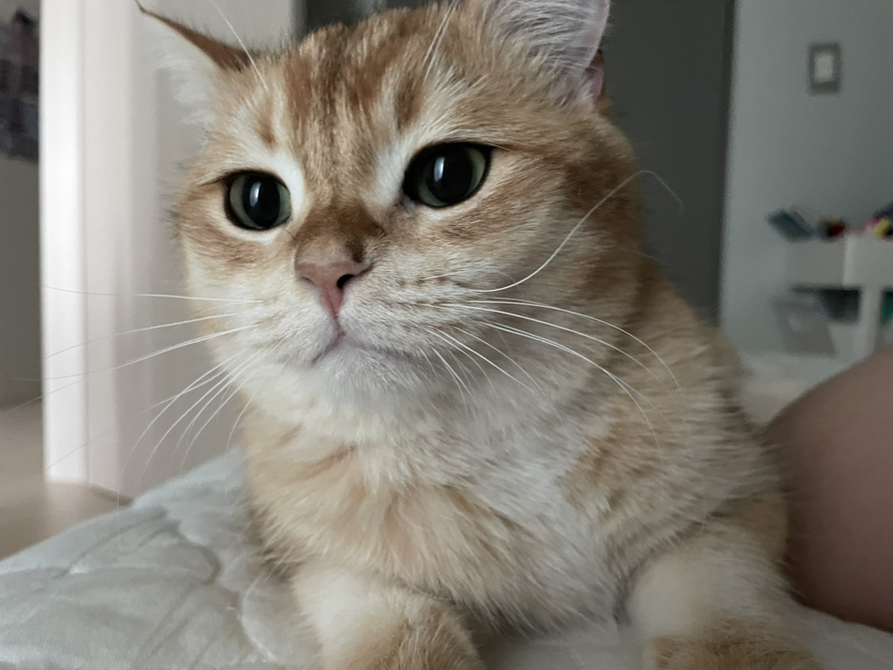 관심 유저 프로필 이미지