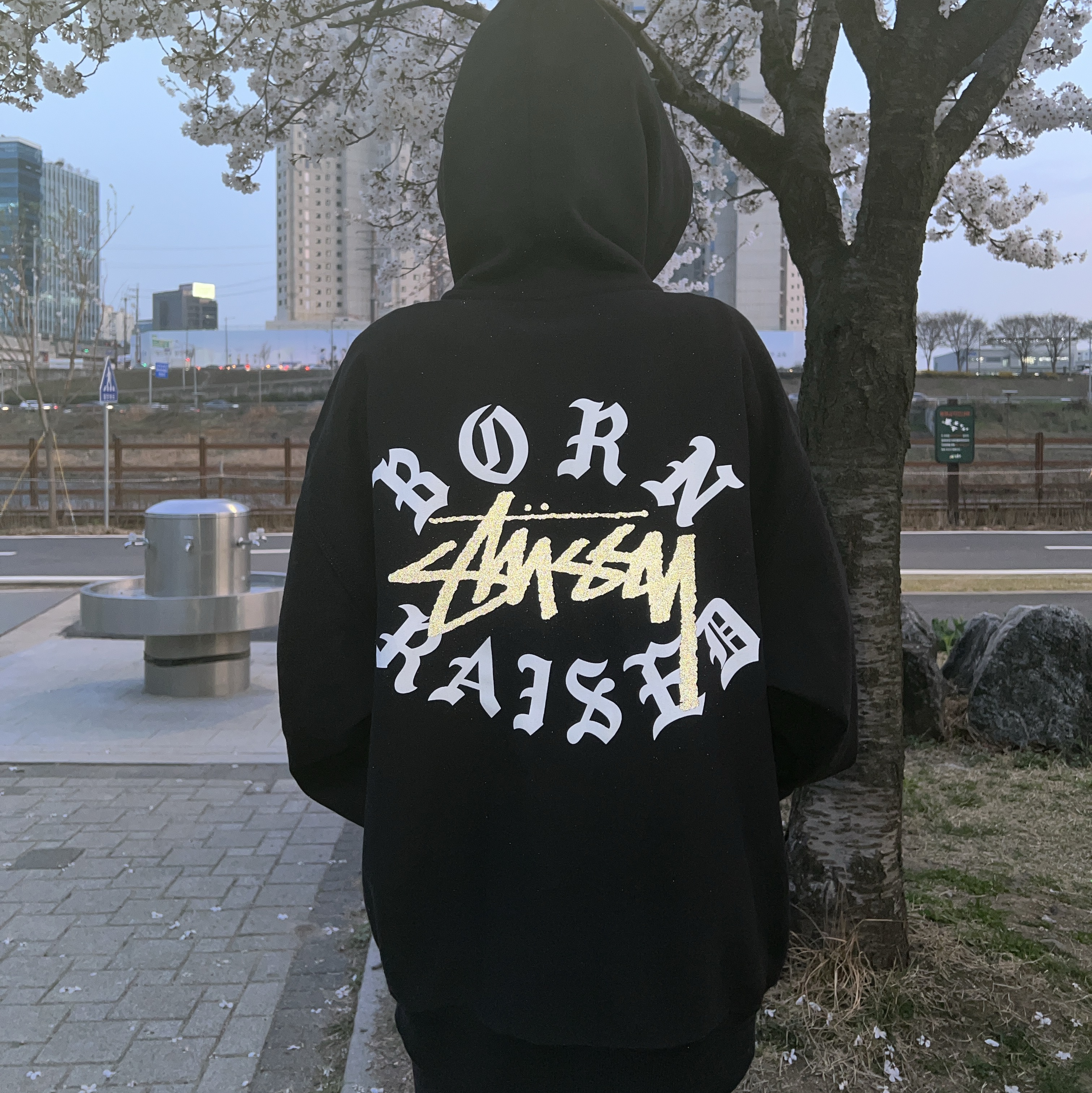 Stussy x Born X Raised Logo Zip Hoodie Black 착용 스타일