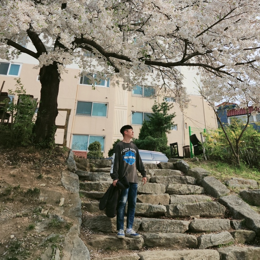 ์์
์ด๋ฏธ์ง