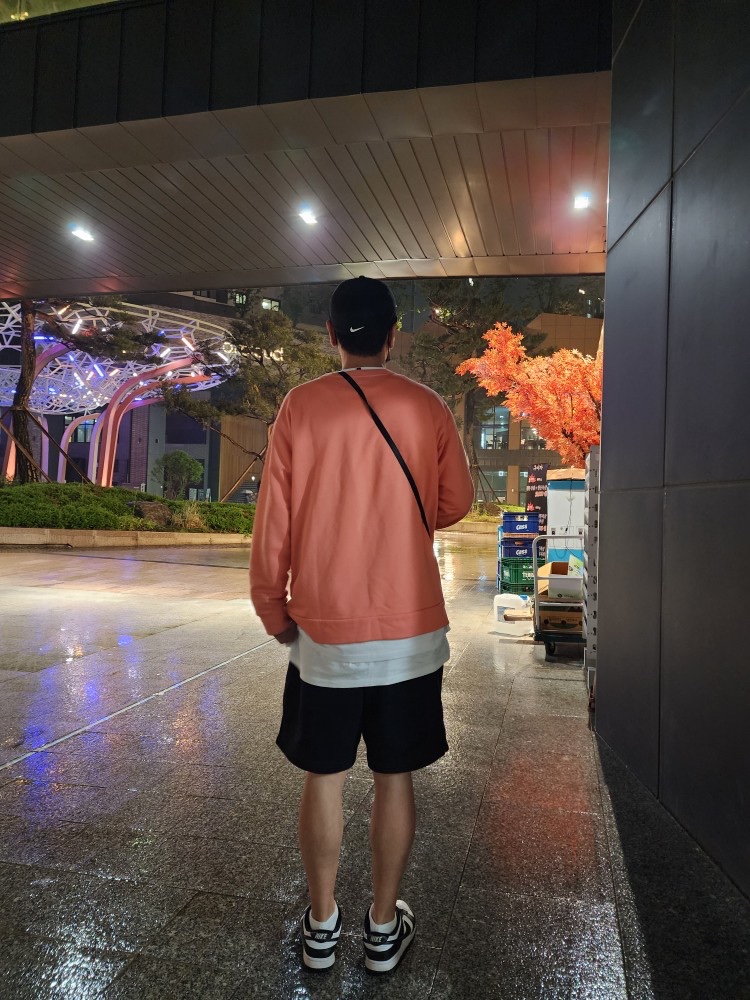 Nike Dunk Low Retro Black, Nike NRG Solo Swoosh Fleece Shorts Black - Asia 착용 스타일 - 1