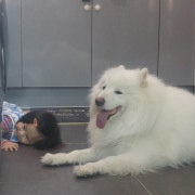 KREAM 프로필 이미지