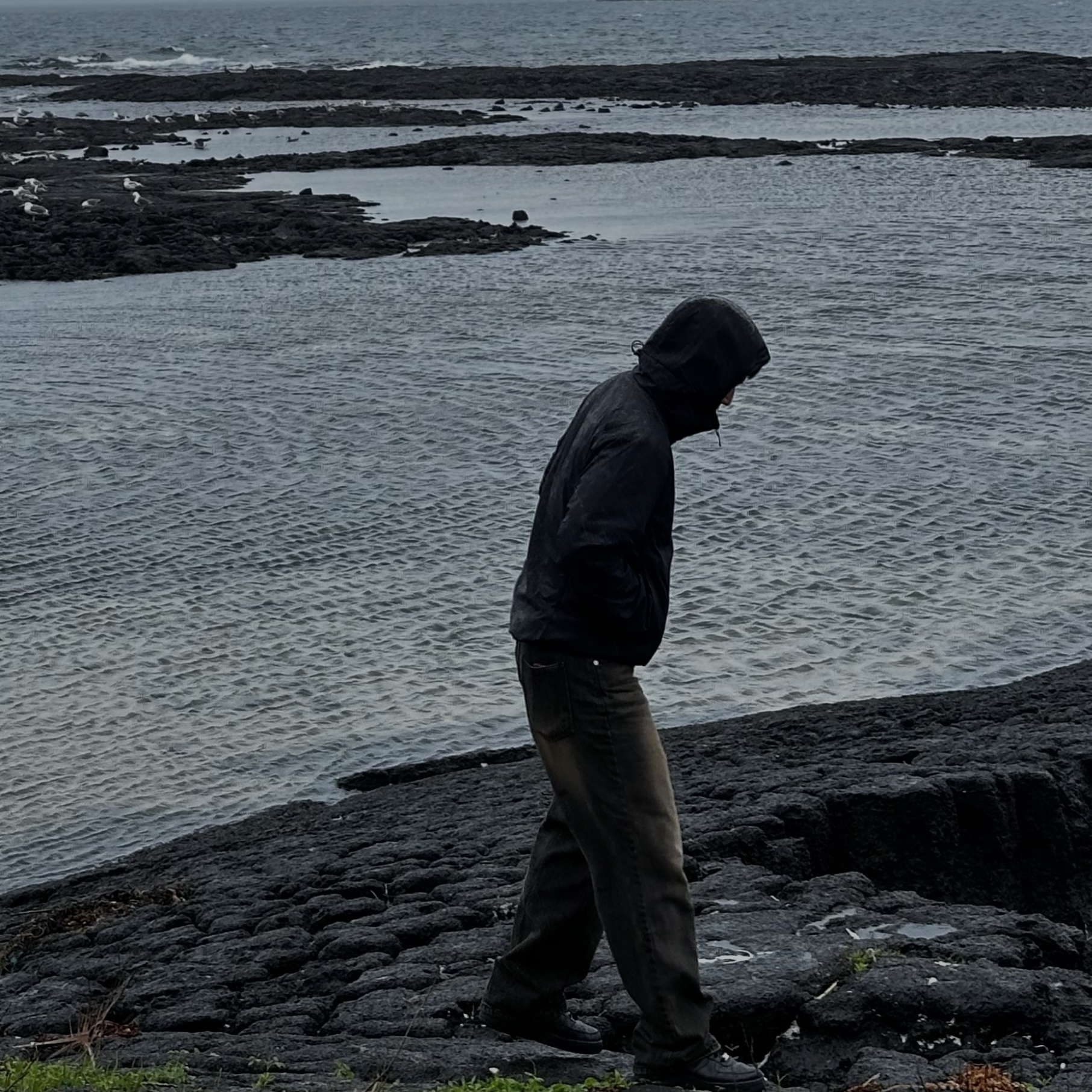 Arc'teryx Atom LT Hoody Black 착용 스타일