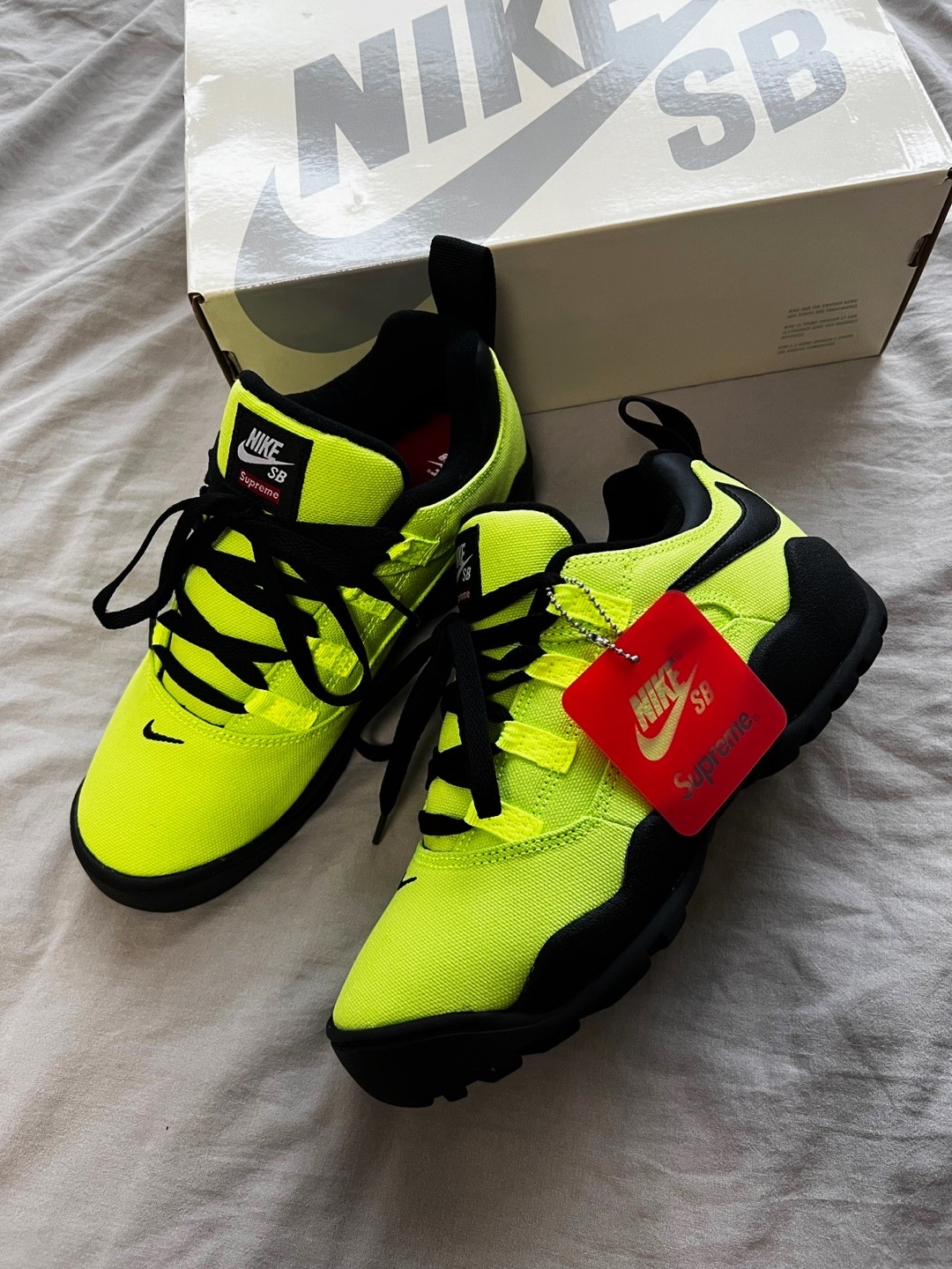 Nike x Supreme SB Darwin Low Green 착용 스타일