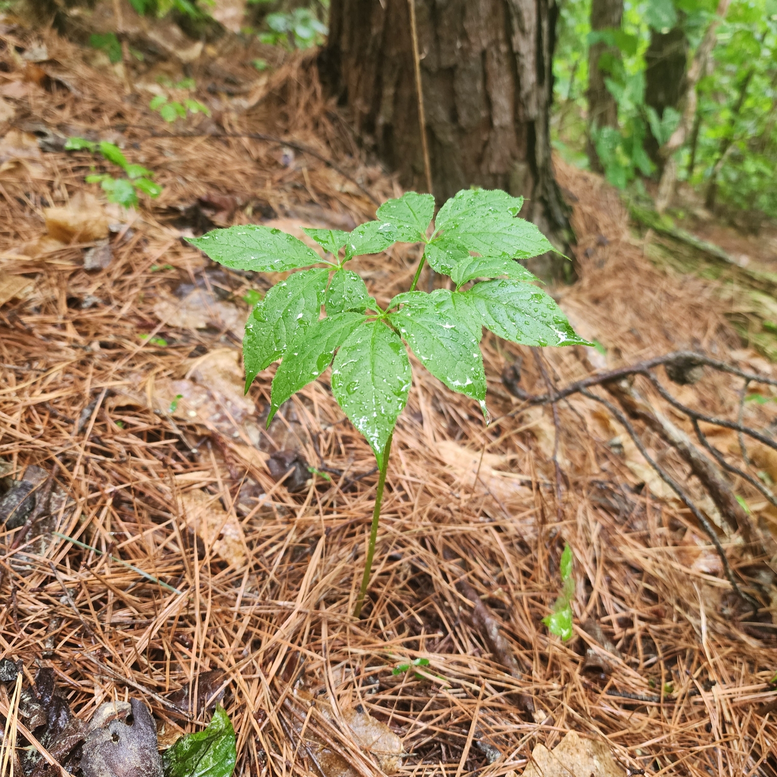 속리원빈님의 스타일 - 1