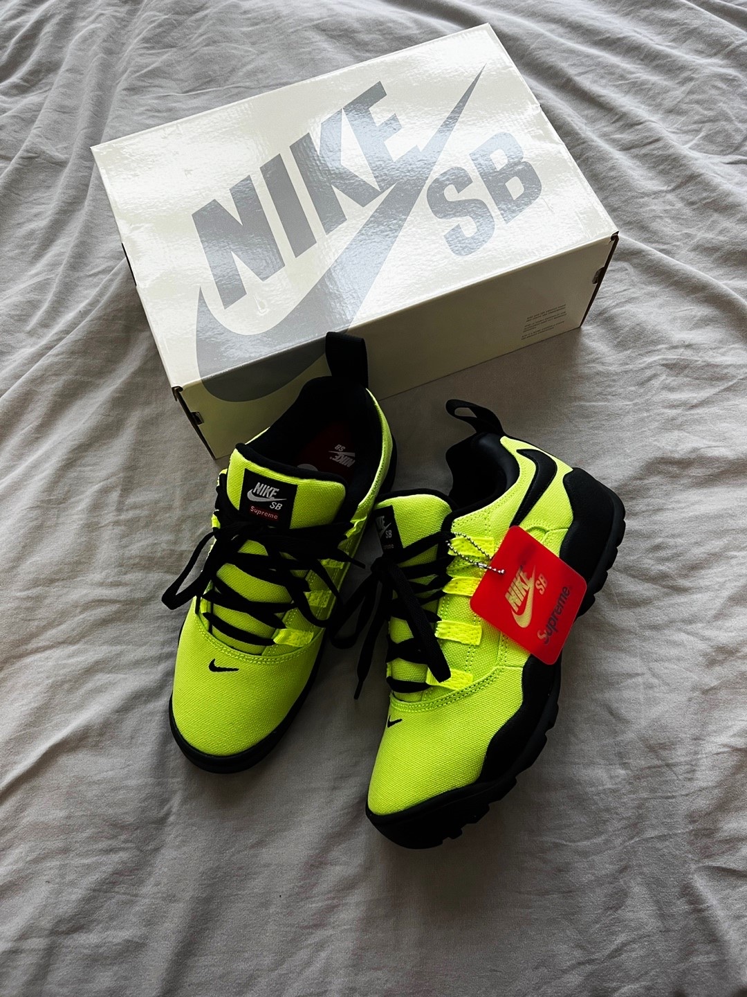 Nike x Supreme SB Darwin Low Green 착용 스타일