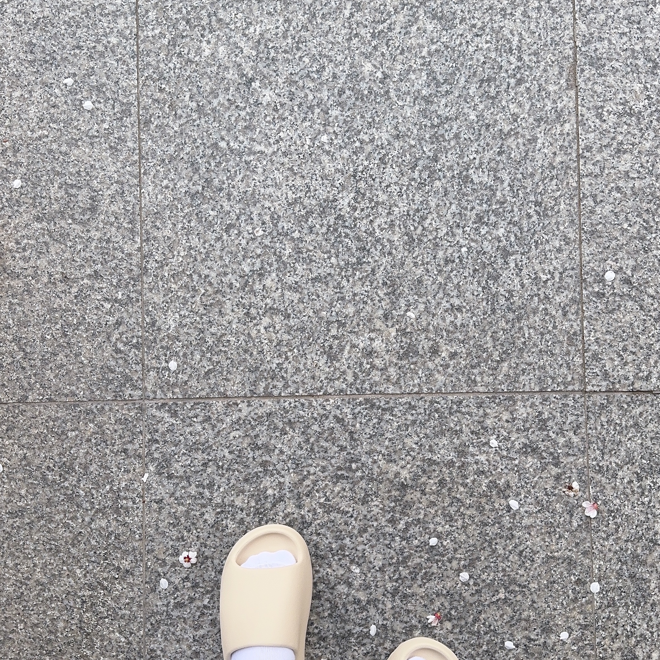 Adidas Yeezy Slide Bone 2022/2023 착용 스타일
